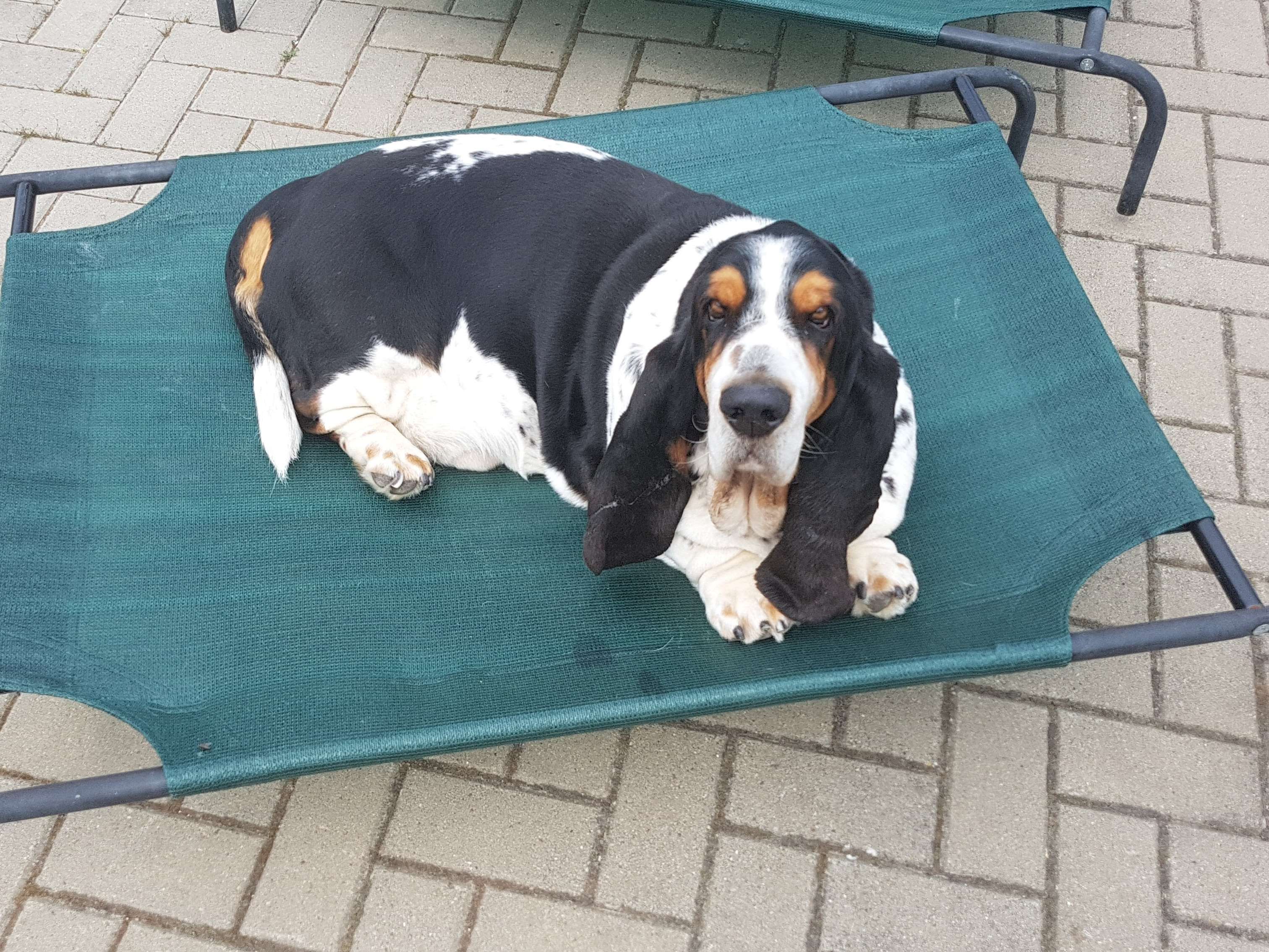 Ansicht 2 von Dr.med.vet. Rosemarie Reimer
