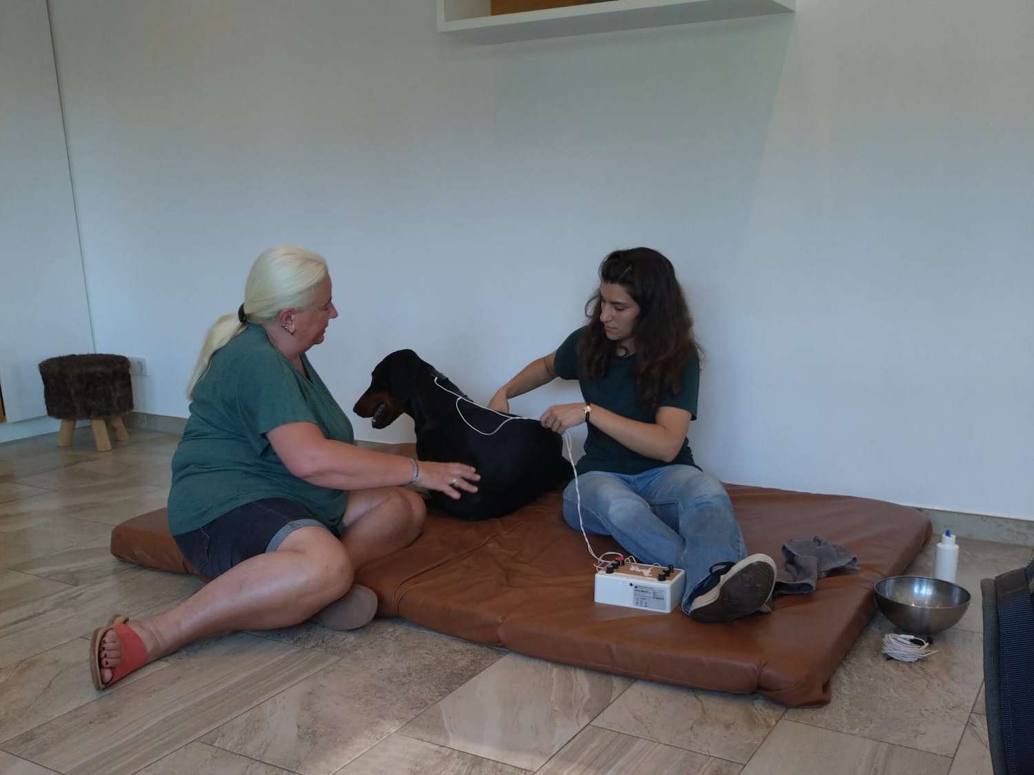 Ansicht 3 von Tiertherapie Nadine Weber