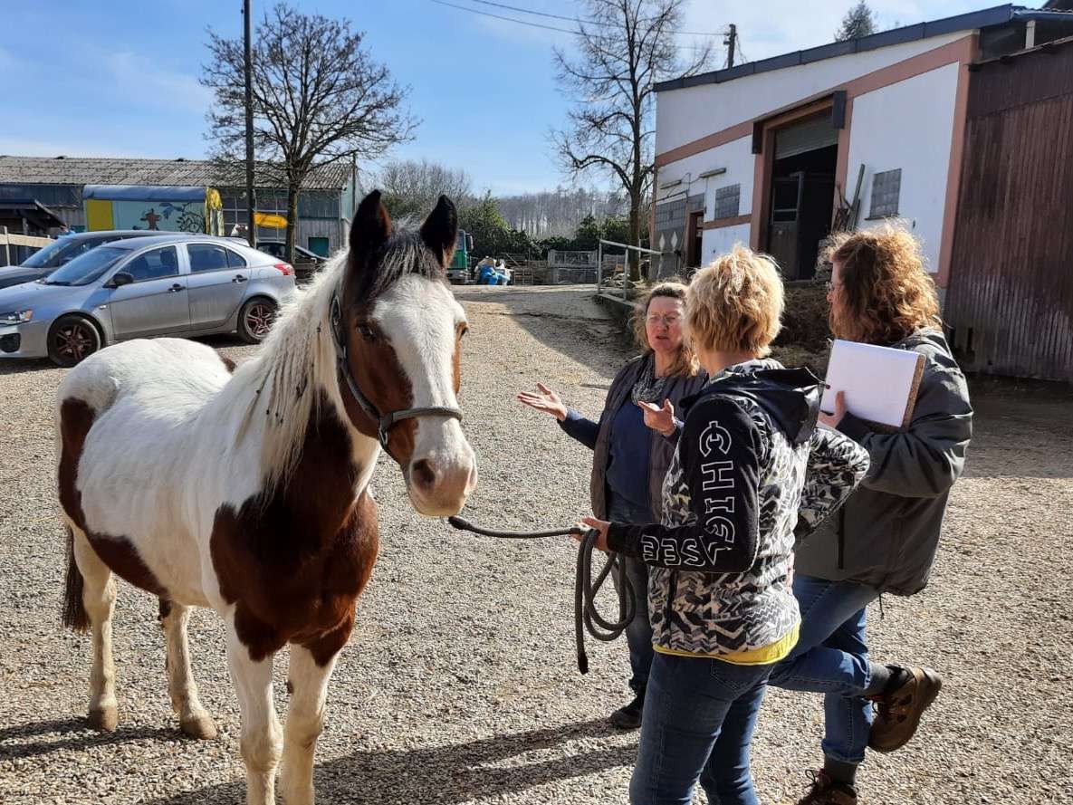 Ansicht 1 von Regu-Vet Therapie- und Schulungszentrum für Tierphysiotherapie - Ulrike Mönnich