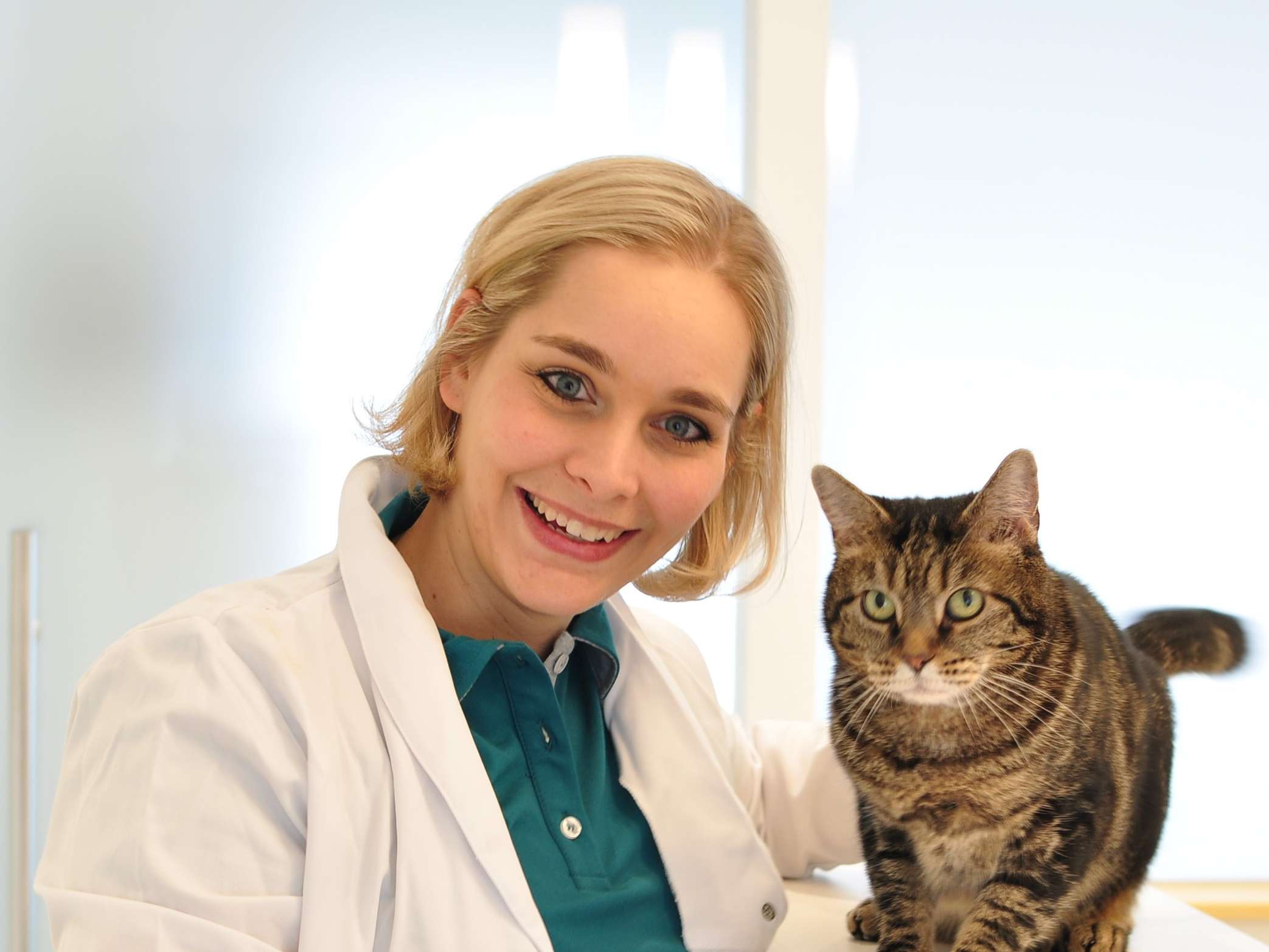 Ansicht 1 von Kleintierpraxis Kerstin Pabst Salzburg