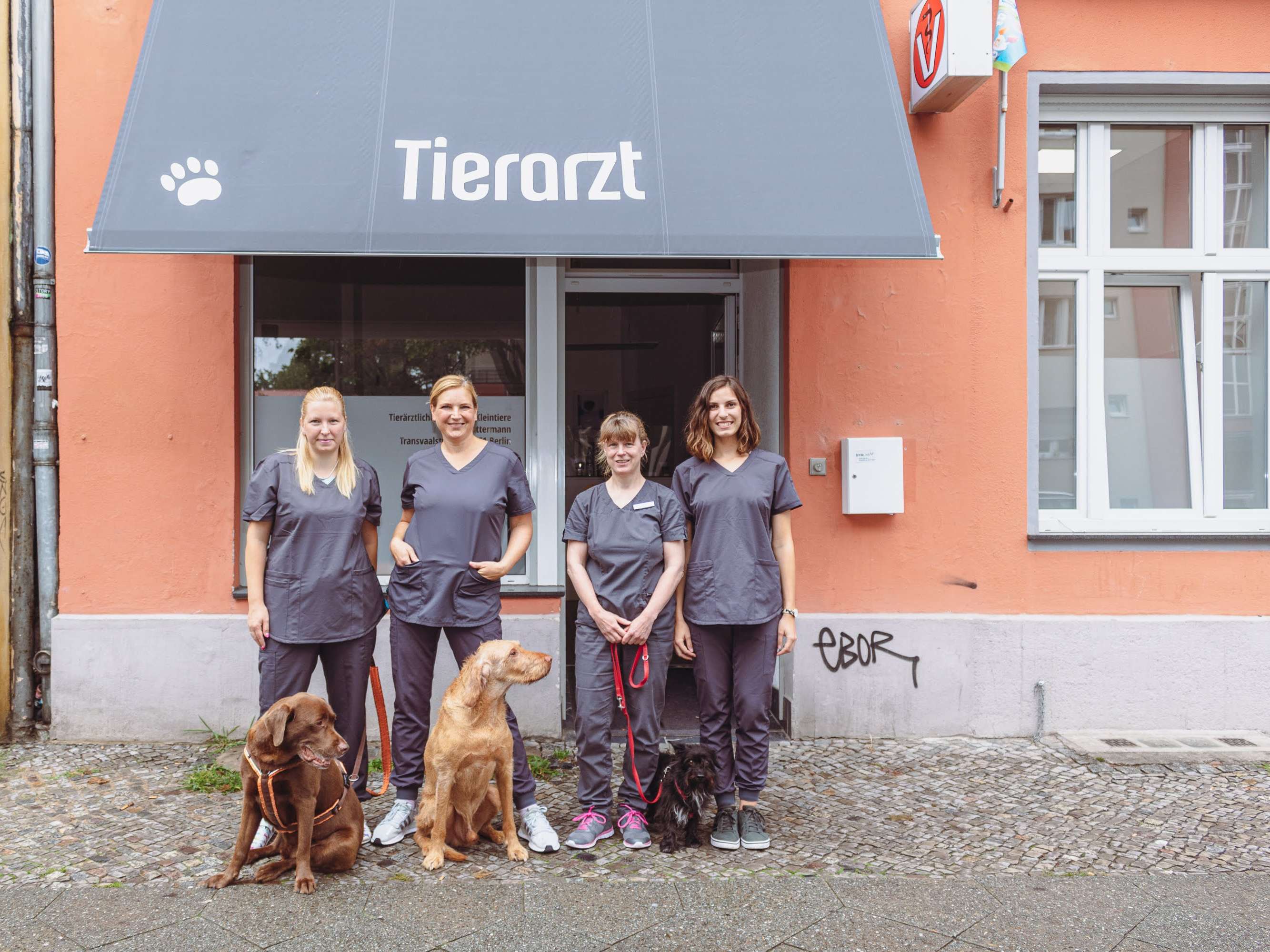 View 2 of Tierarztpraxis Dr.S.Lattermann im Wedding