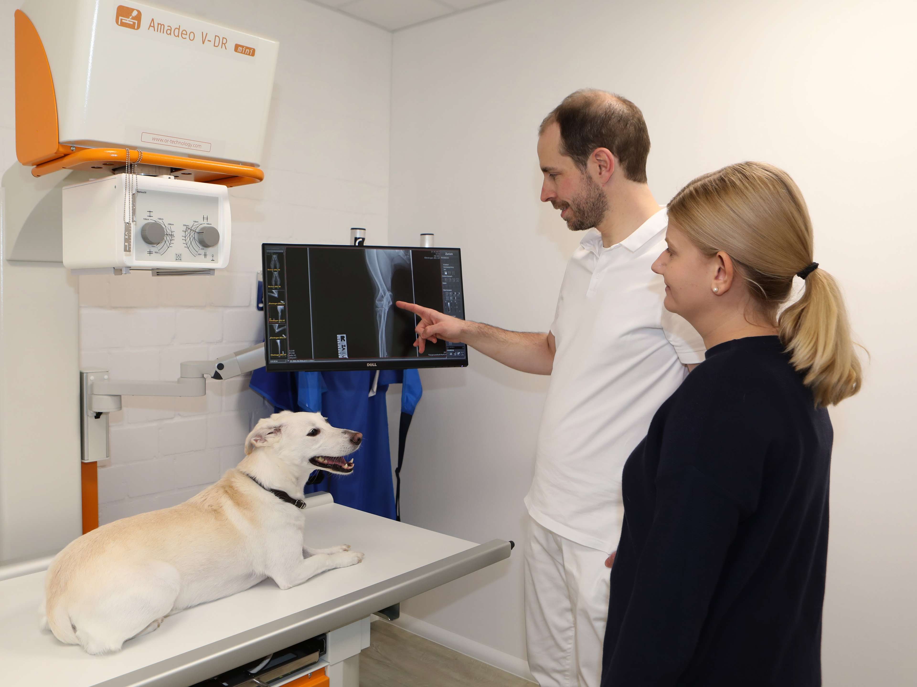 Ansicht 2 von Tiergesundheit-Herford | Kleintierpraxis Schmidtke