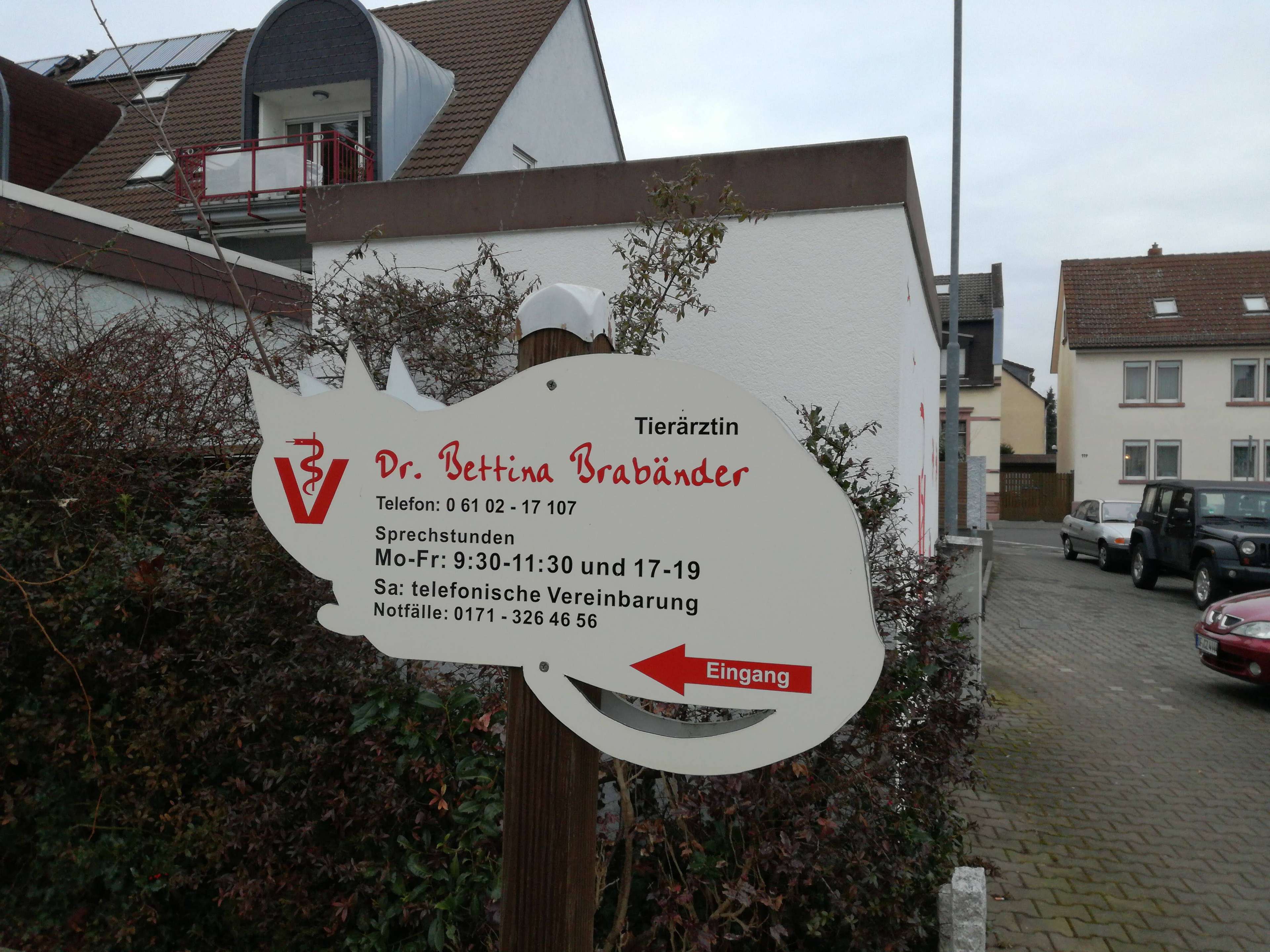Ansicht 1 von Dr. Bettina Brabänder