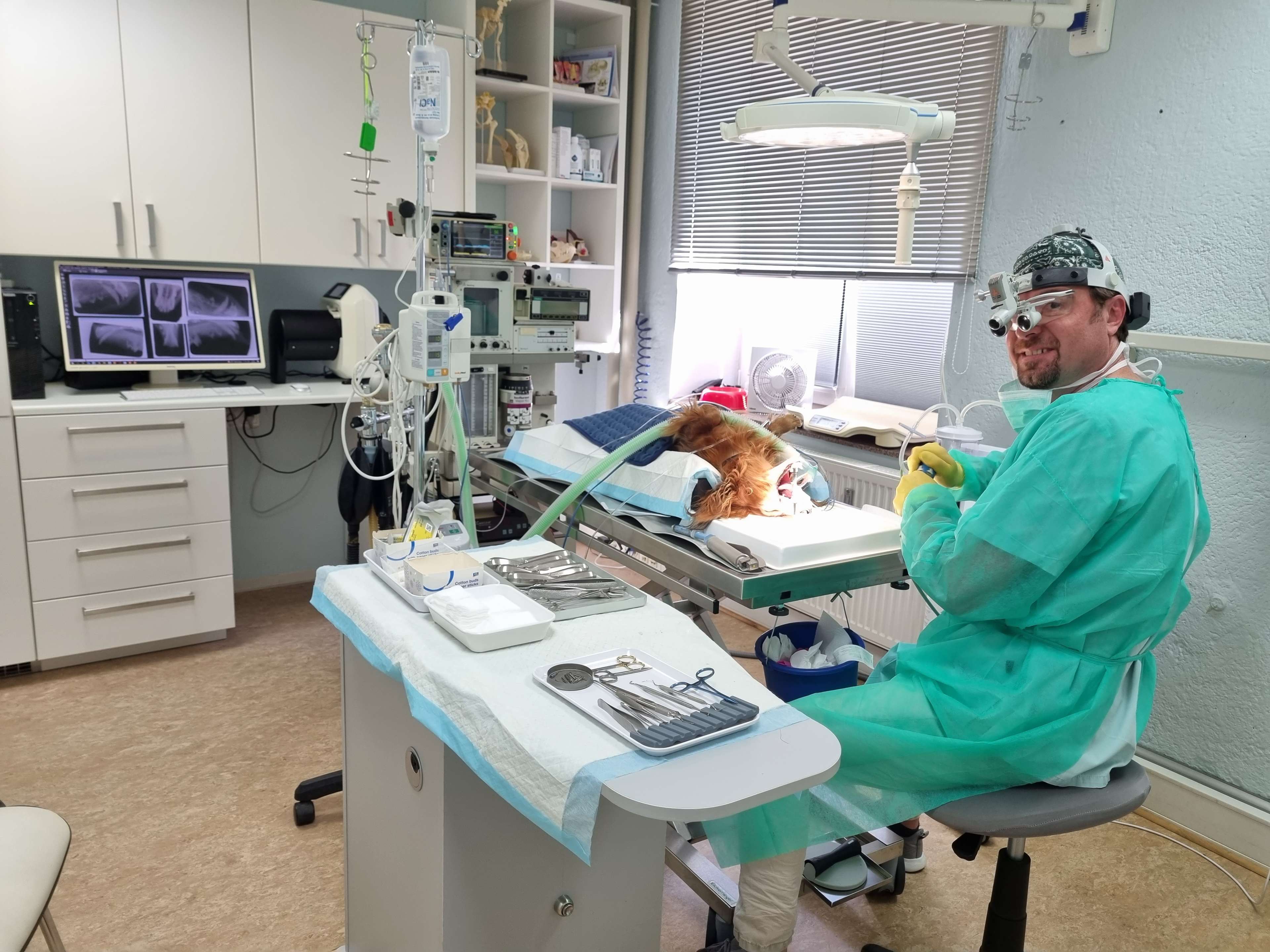 View 3 of Dr.med.vet. Andre Synilo Tierärztliche Praxis