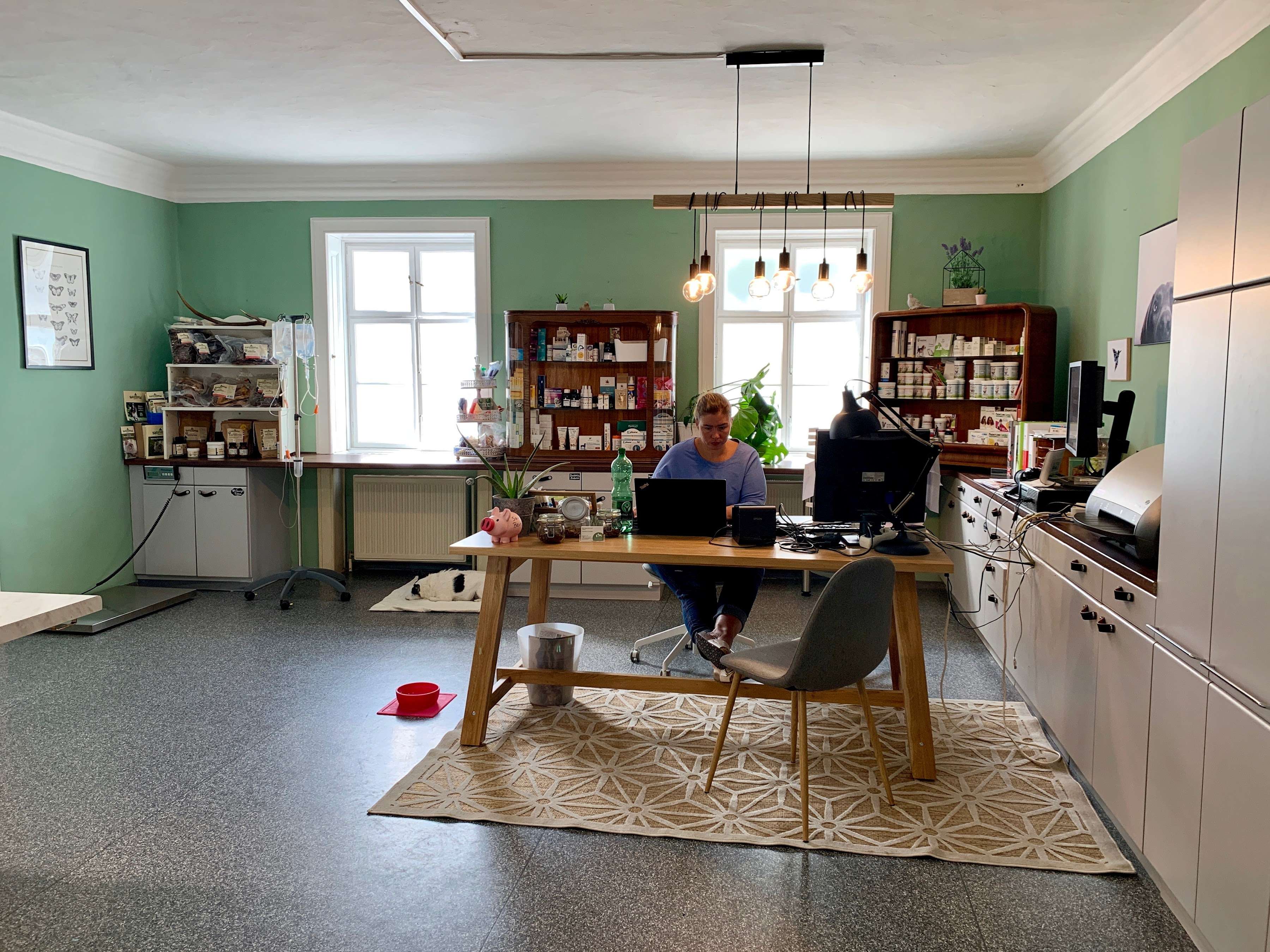 View 2 of Praxis für ganzheitliche Tiermedizin Mödling, Mag. Dagmar Eberl & Team