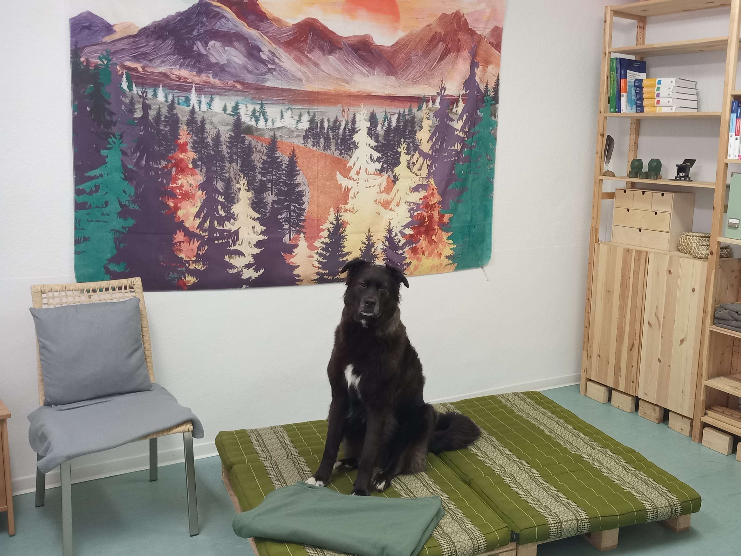 Ansicht 3 von Tierärztin Julia Thiel
