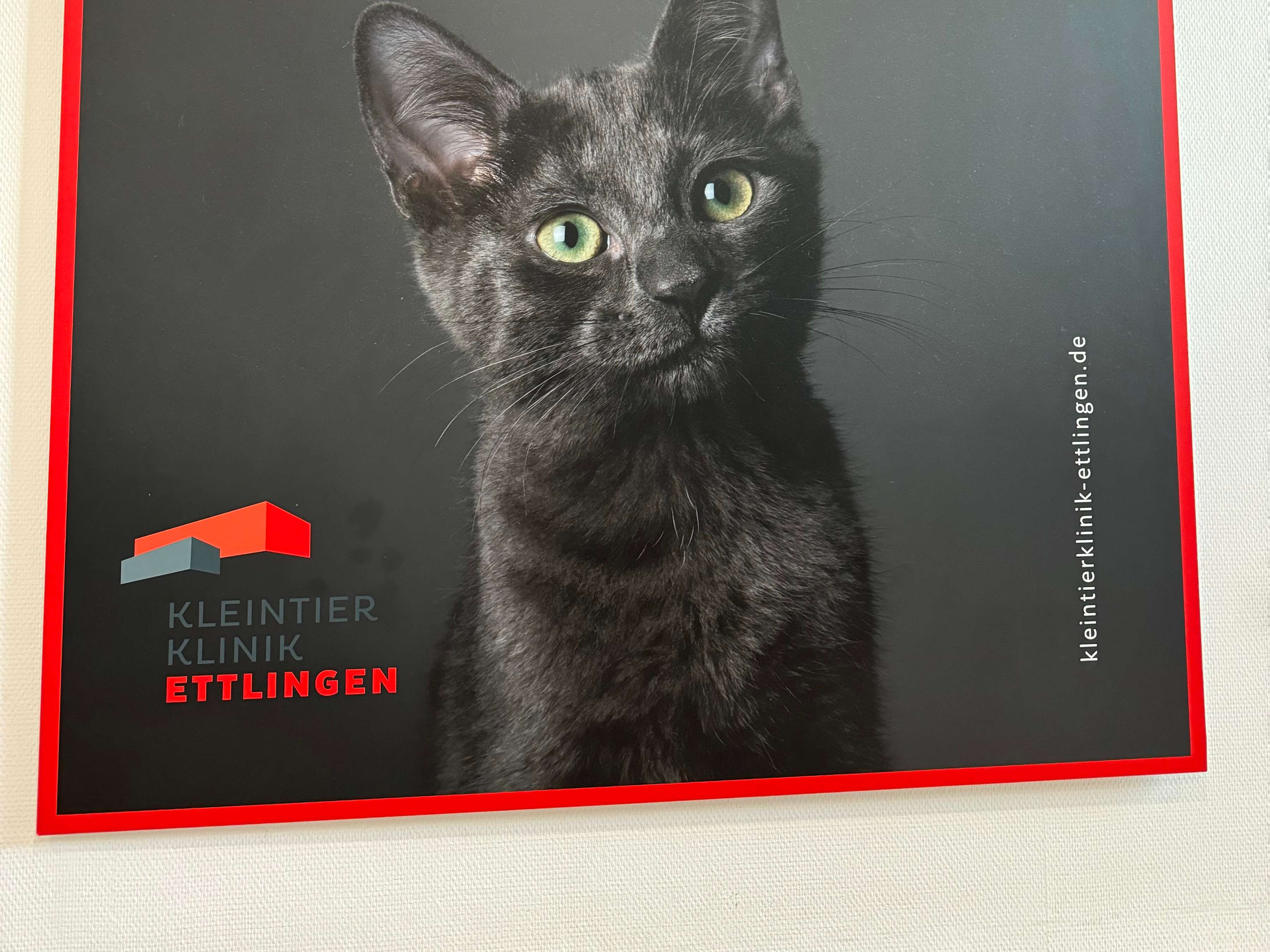 Ansicht 2 von Kleintierklinik Ettlingen, Tierärztliche Klinik für Chirurgie, Praxis für Kleintiere