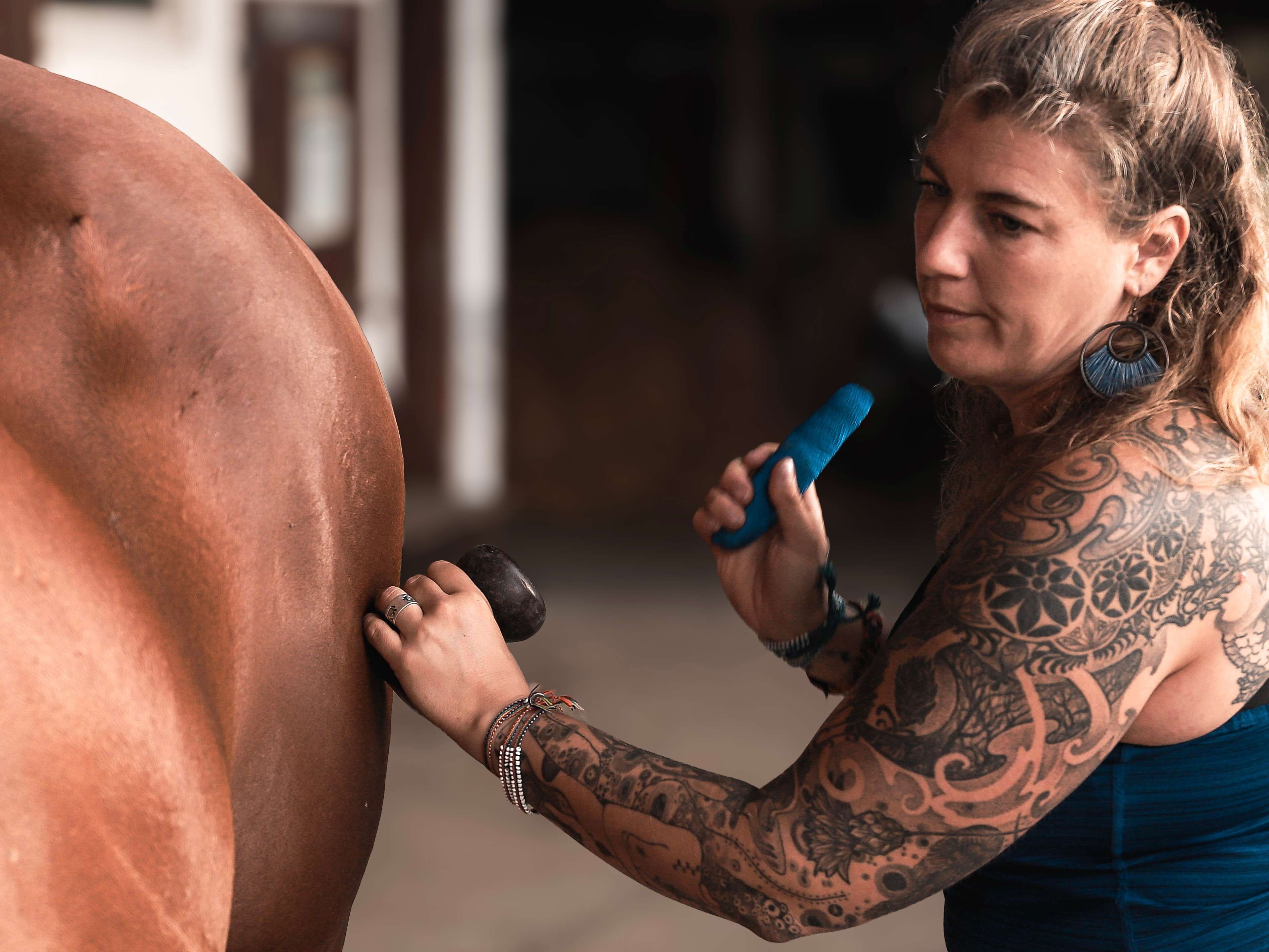 Ansicht 2 von Tierärztin Dorothea Weber Pferdemedizin und Osteopathie