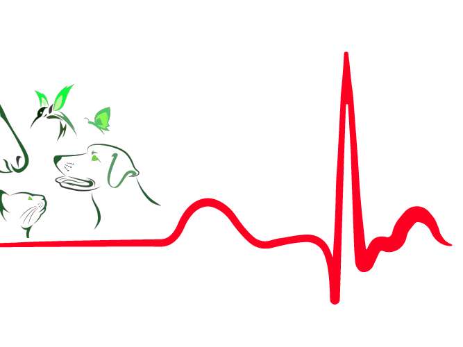 Ansicht 1 von Tierheilpraxis ID Tierheilpraktiker