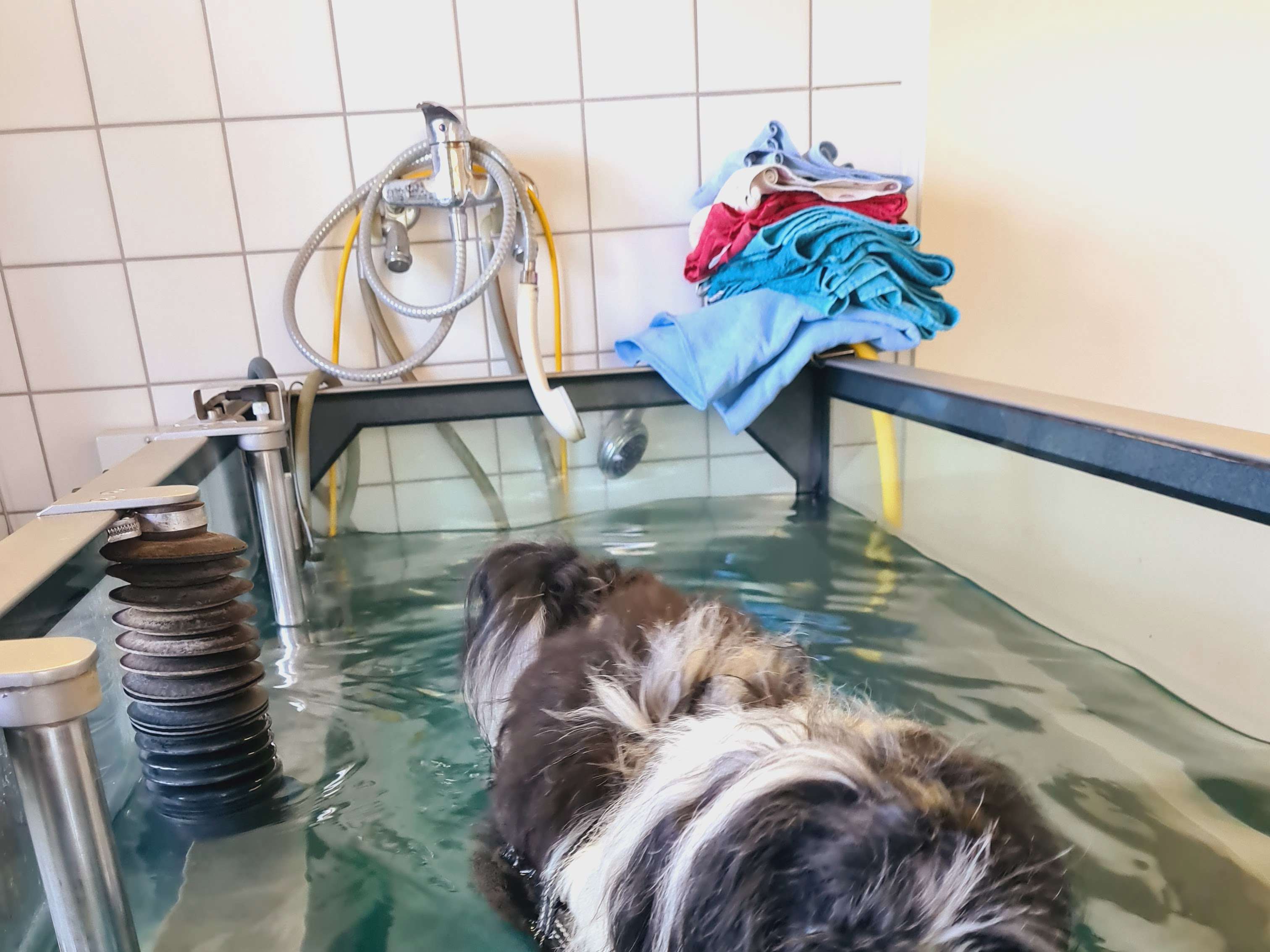 Ansicht 2 von TierGesundheitsZentrum Ritterhude