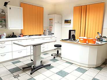 View 3 of Tierärztliches Gesundheitszentrum | Peckelsheim
