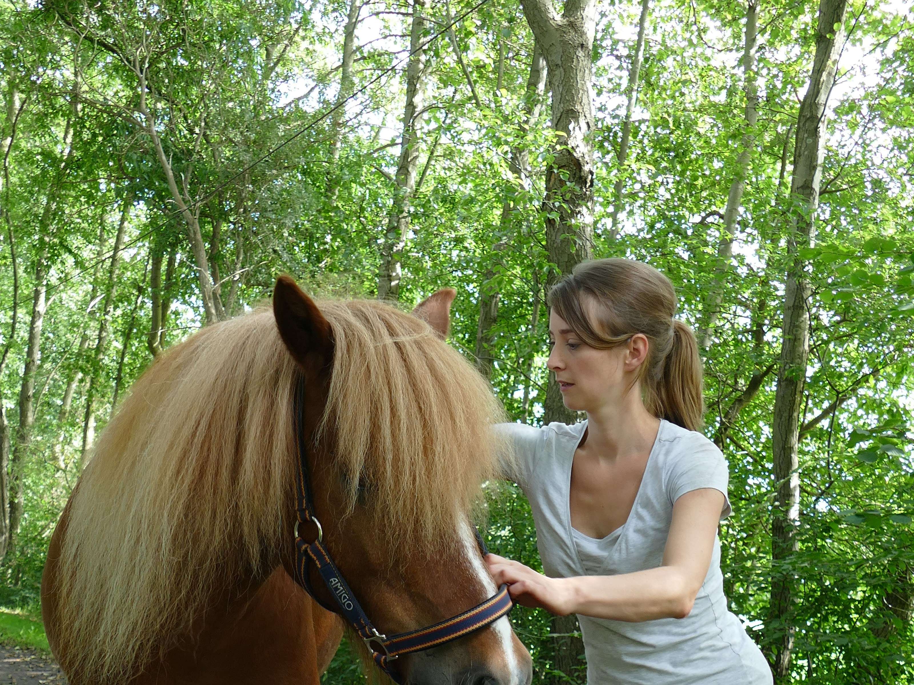 Ansicht 3 von Tierärztliche Chiropraxis Astrid Nüllmann