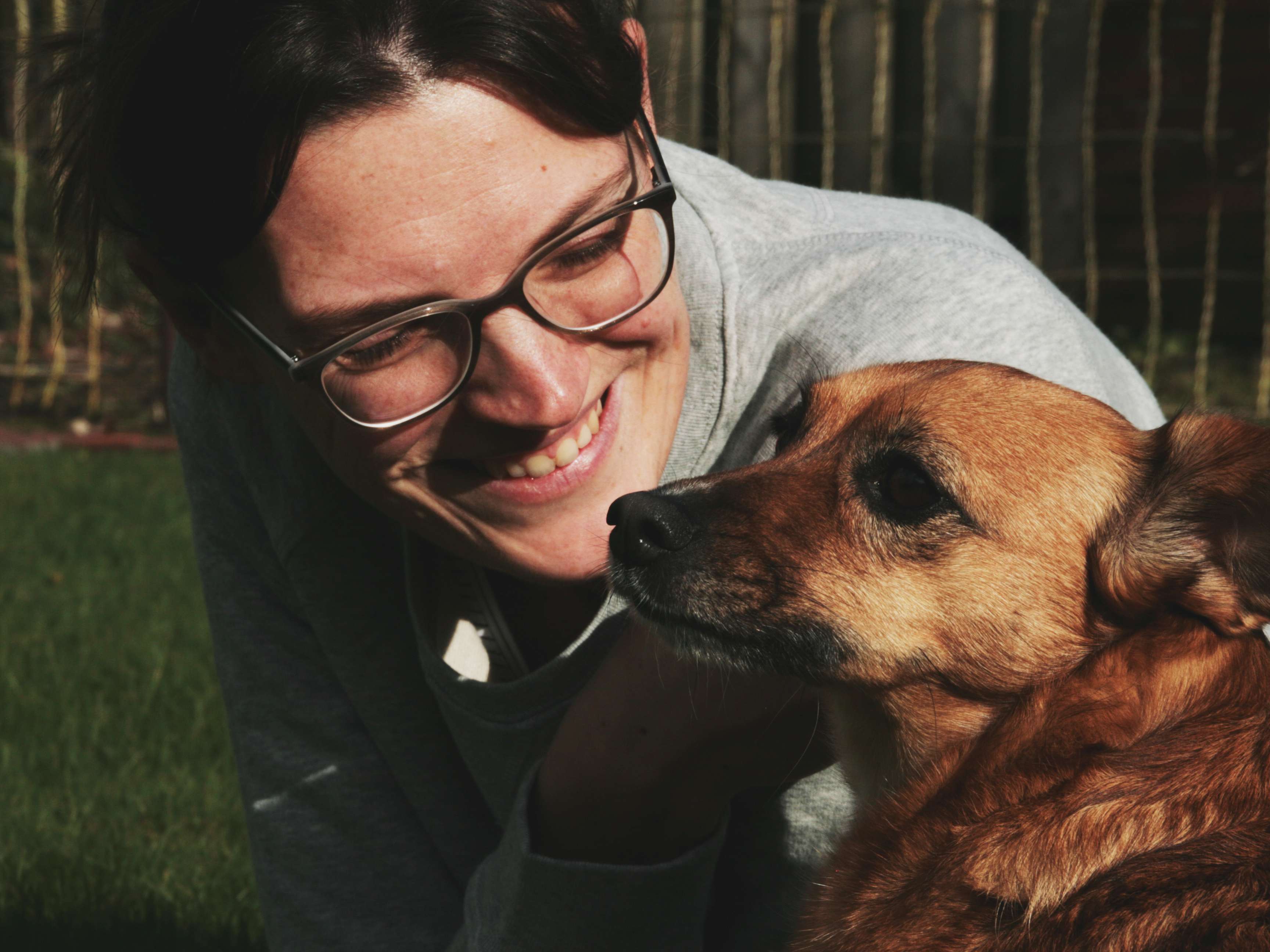 Ansicht 1 von Tierphysio Honermann