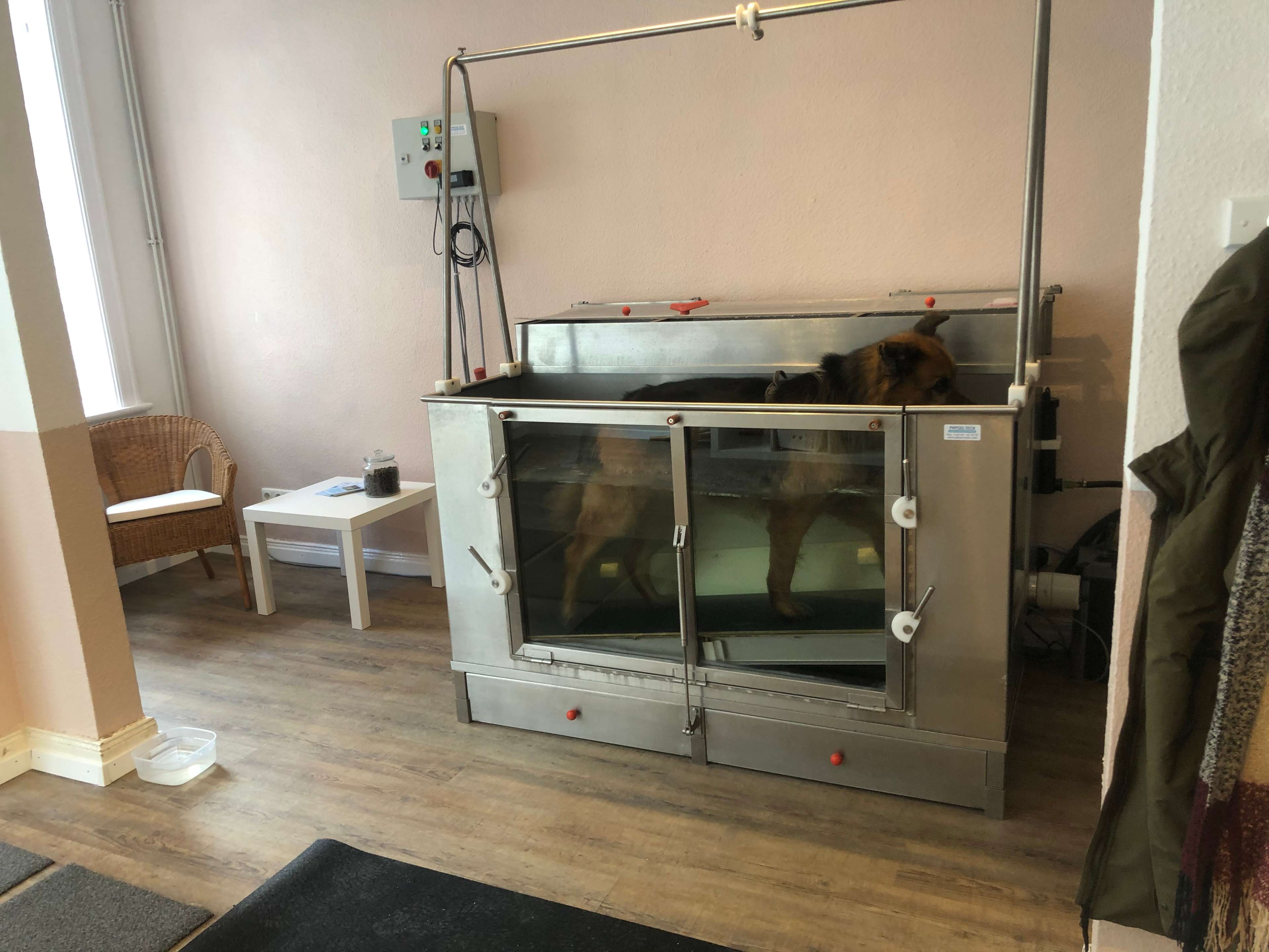 Ansicht 2 von Aktive Pfoten Tierphysiotherapie