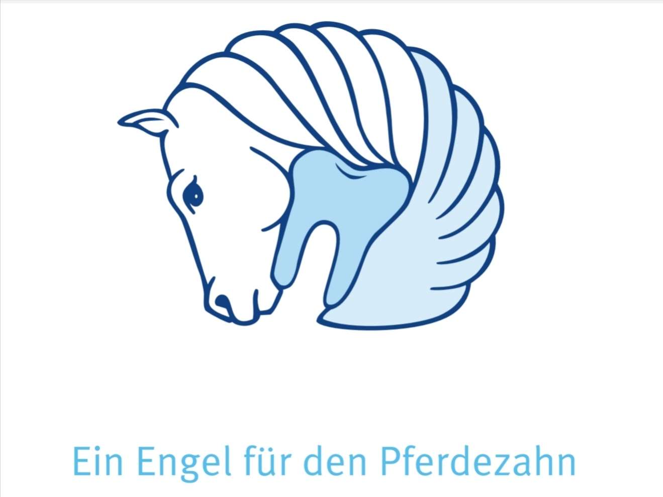 Ansicht 2 von Pferdedentalpraktik Engel (Katja Glinski)