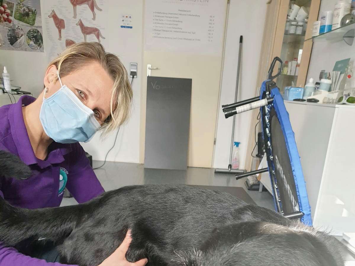 Ansicht 5 von Hundephysio und Tierheilpraxis Simone Kikstein