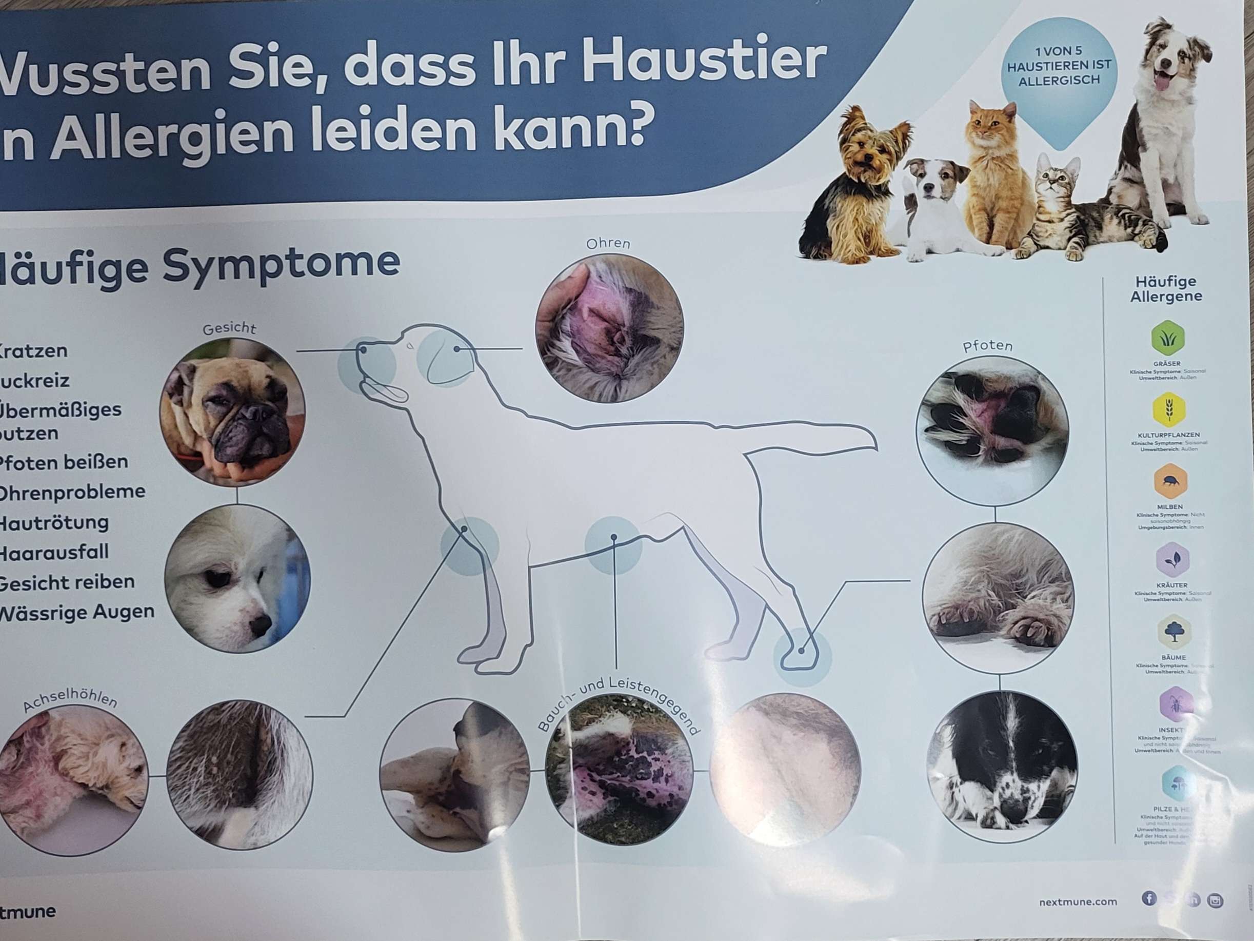 Ansicht 3 von Tierarztpraxis Ullmann