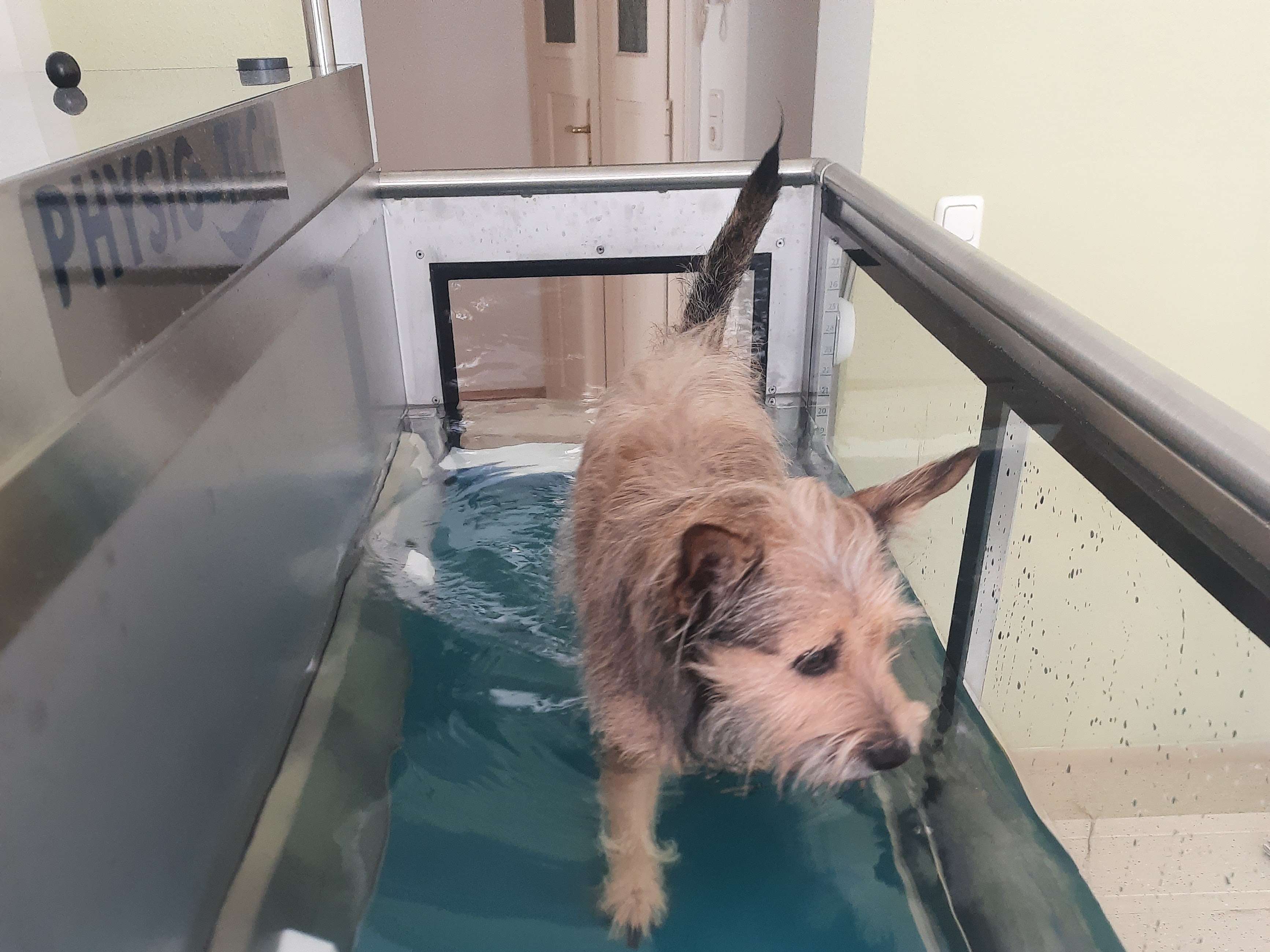 Ansicht 2 von NeuroVetMove