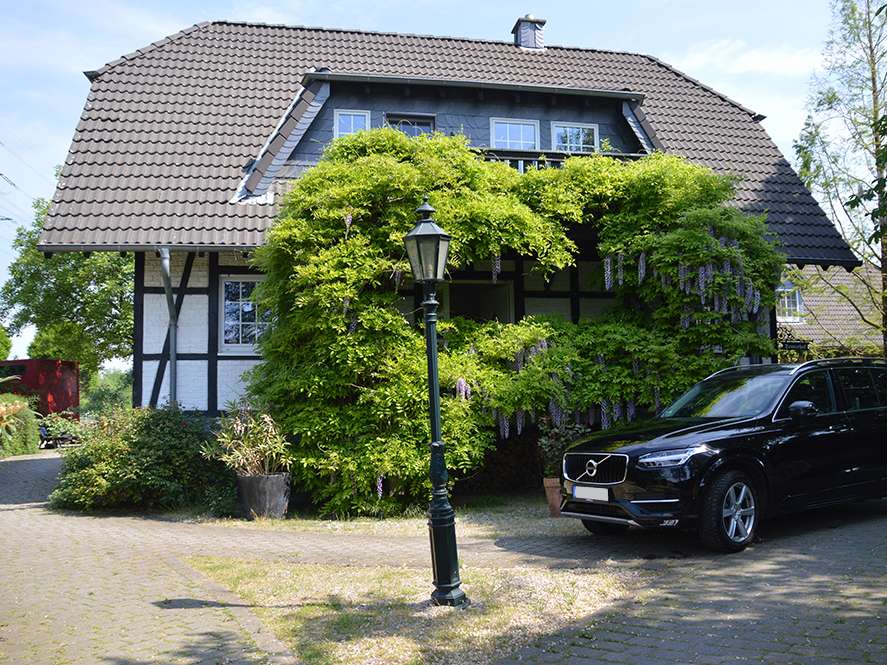 Ansicht 1 von Langhorst Carolin Dr. Fachtierärztin für Pferde
