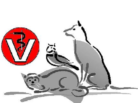 Ansicht 2 von Kleintierpraxis & Tierdermatologie