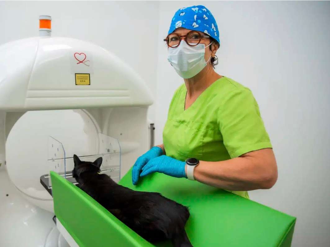 Ansicht 2 von Kleintierzentrum doc4pets Idar-Oberstein GmbH