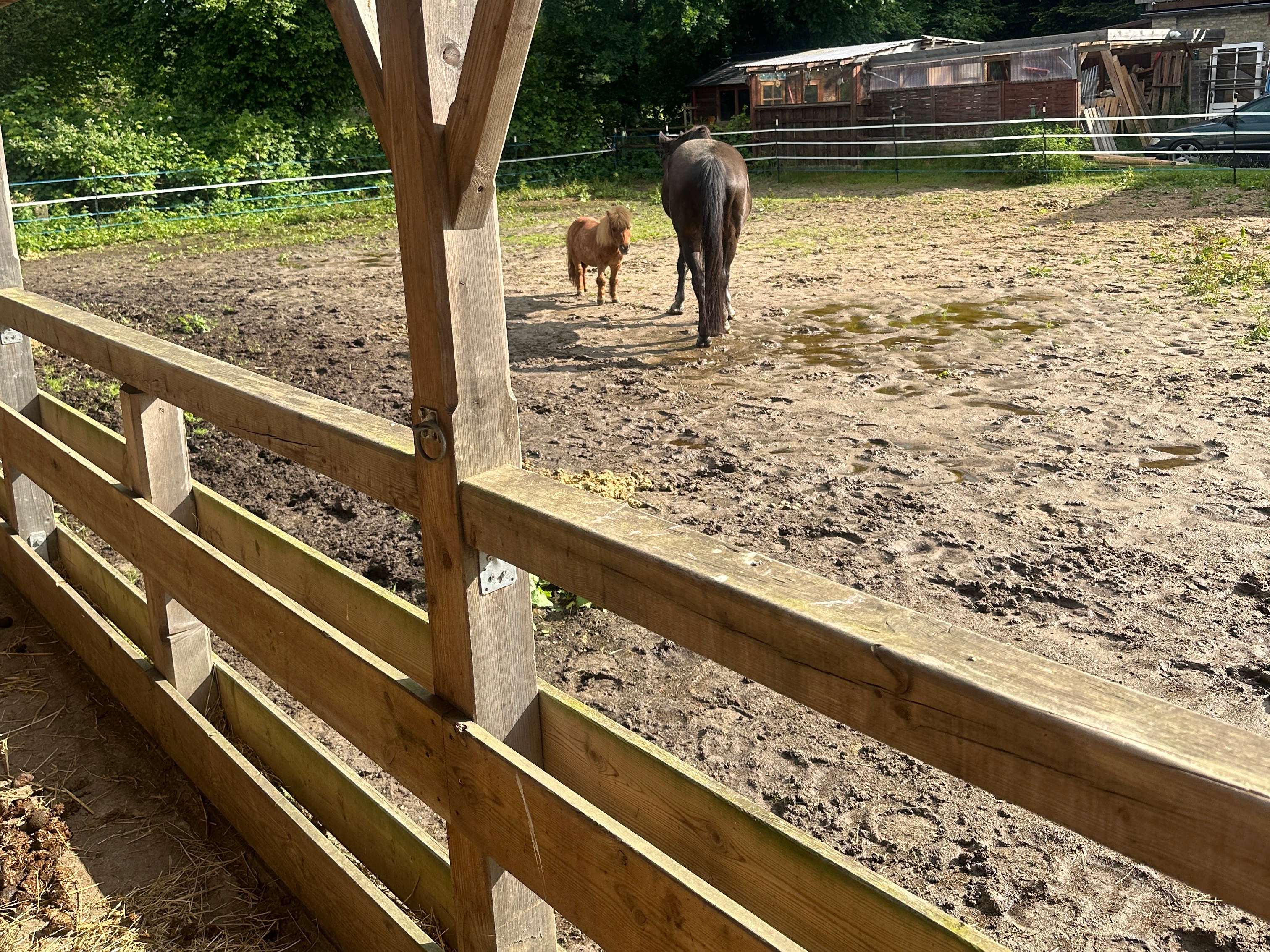 Ansicht 1 von Tierärztliche Praxis für Pferde Gerret Bruhn