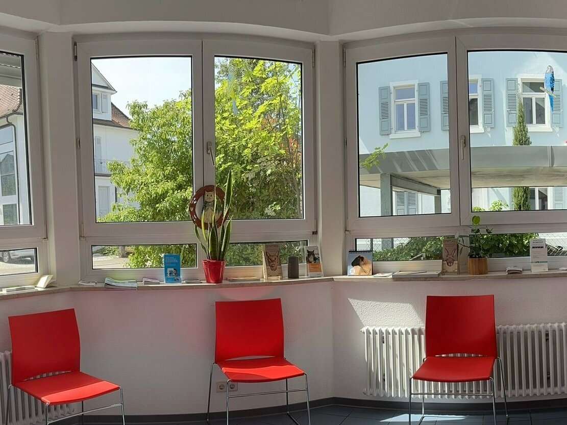 Ansicht 3 von Tierarztpraxis Azizi