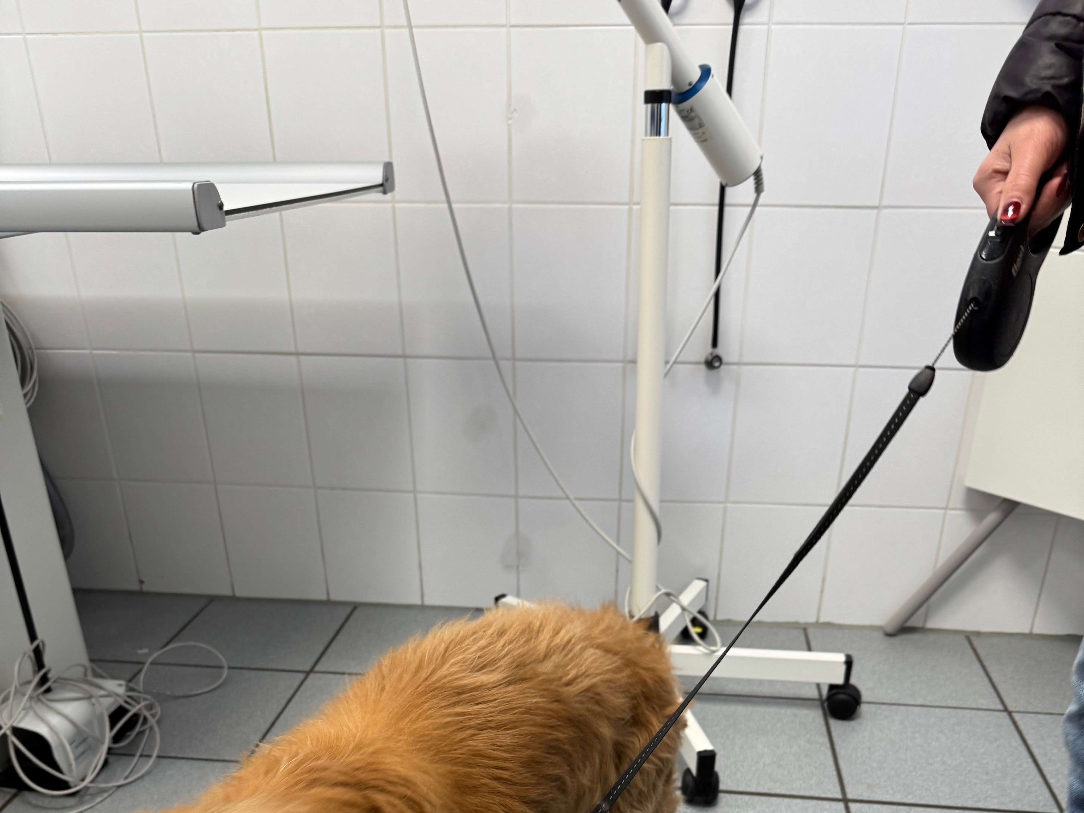 Ansicht 3 von Dr.med.vet. Marco Germann Tierarzt
