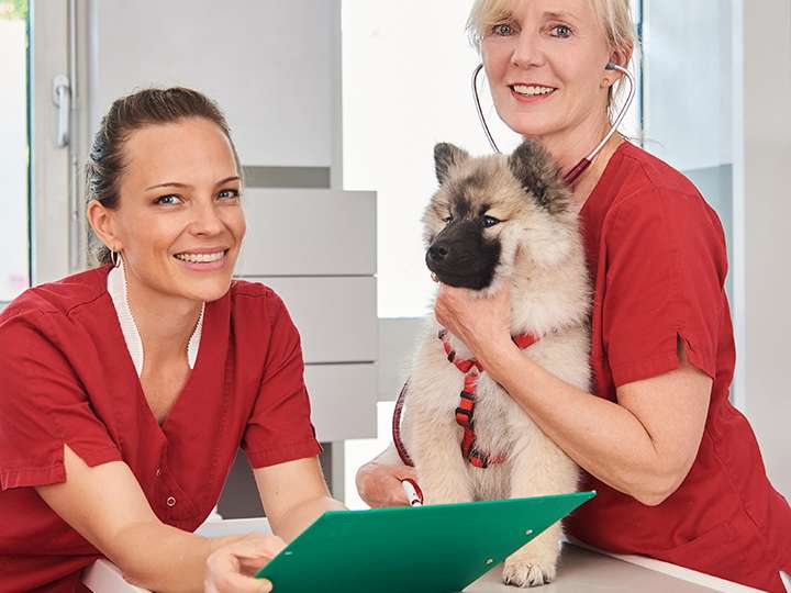 Ansicht 1 von Tierärzte-Team Dreieich