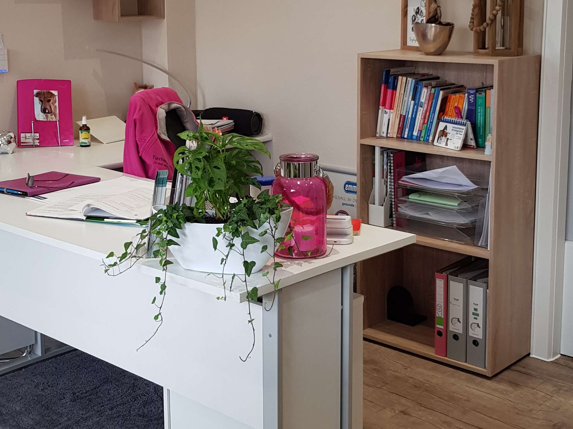 Ansicht 1 von Tierheilpraktikerin & Ernährungsberaterin BARF Anja Schaumlöffel