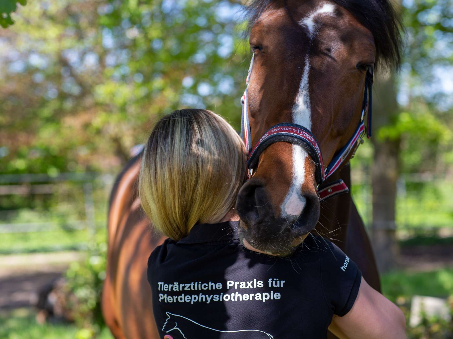 Ansicht 2 von Tierärztliche Praxis für Pferdephysiotherapie Sarah Aurenz