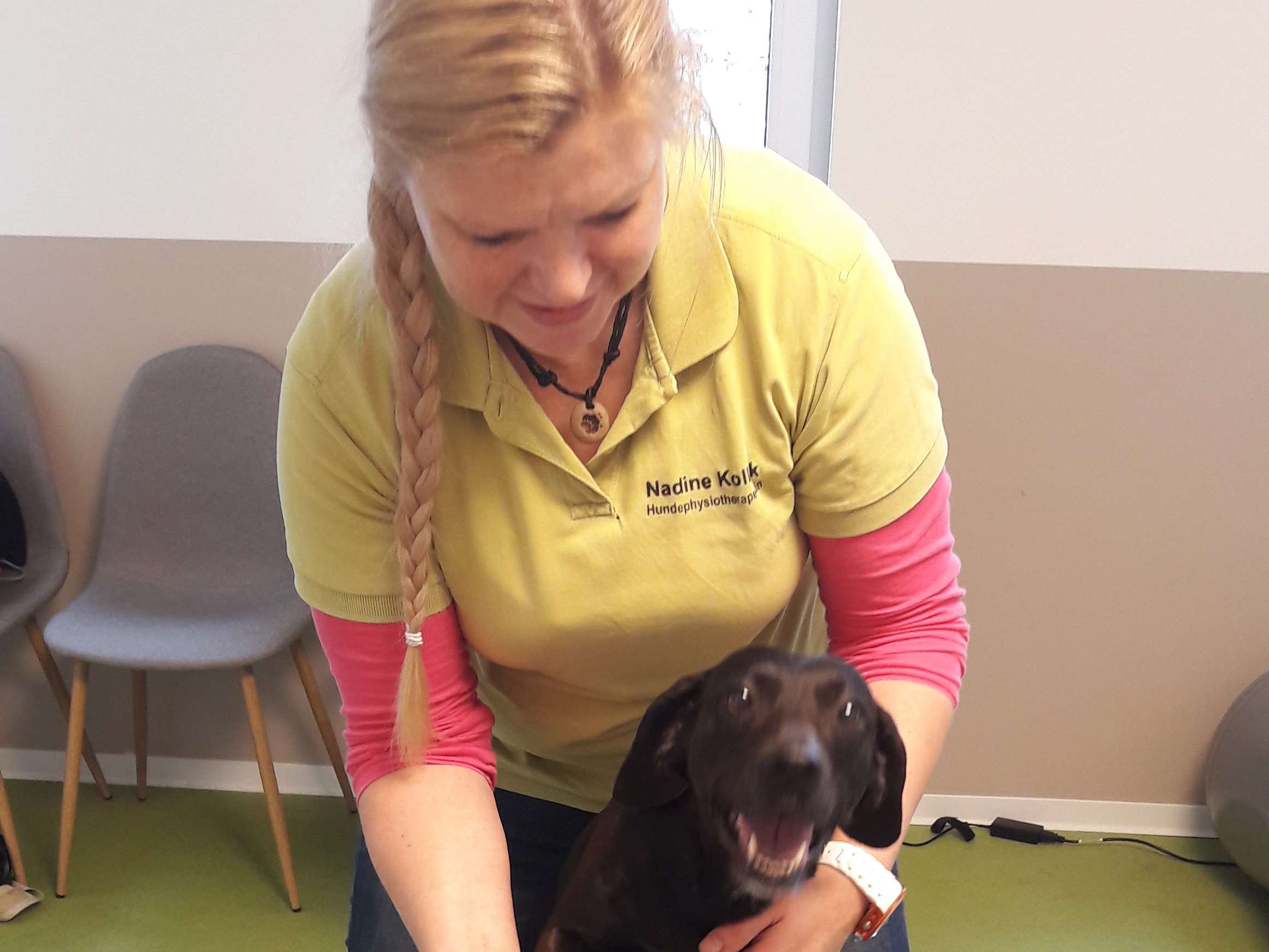 Ansicht 2 von Hundelaufwerk Physiotherapie für Hunde