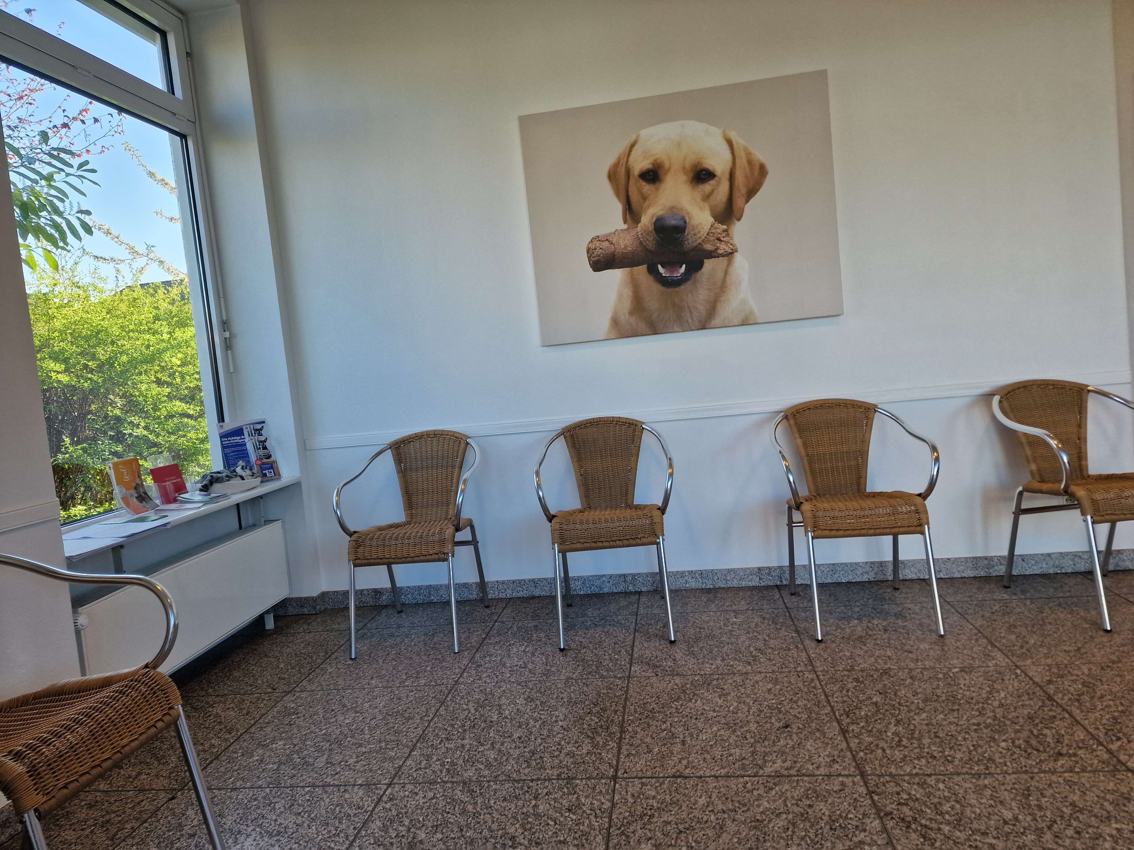 Ansicht 1 von Dr. med. vet. Dirk Schiller