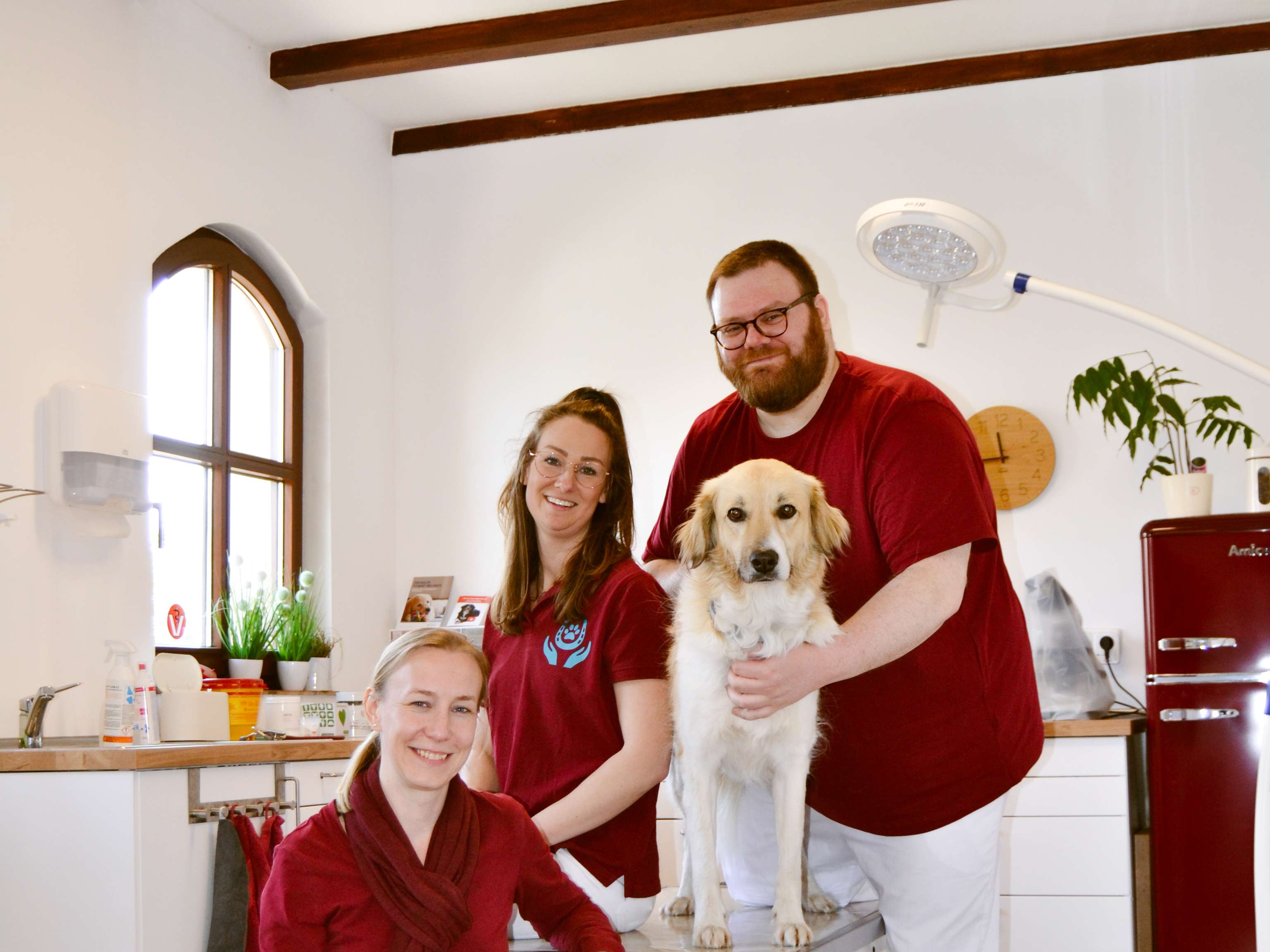 Ansicht 1 von Tierärzte Lübars