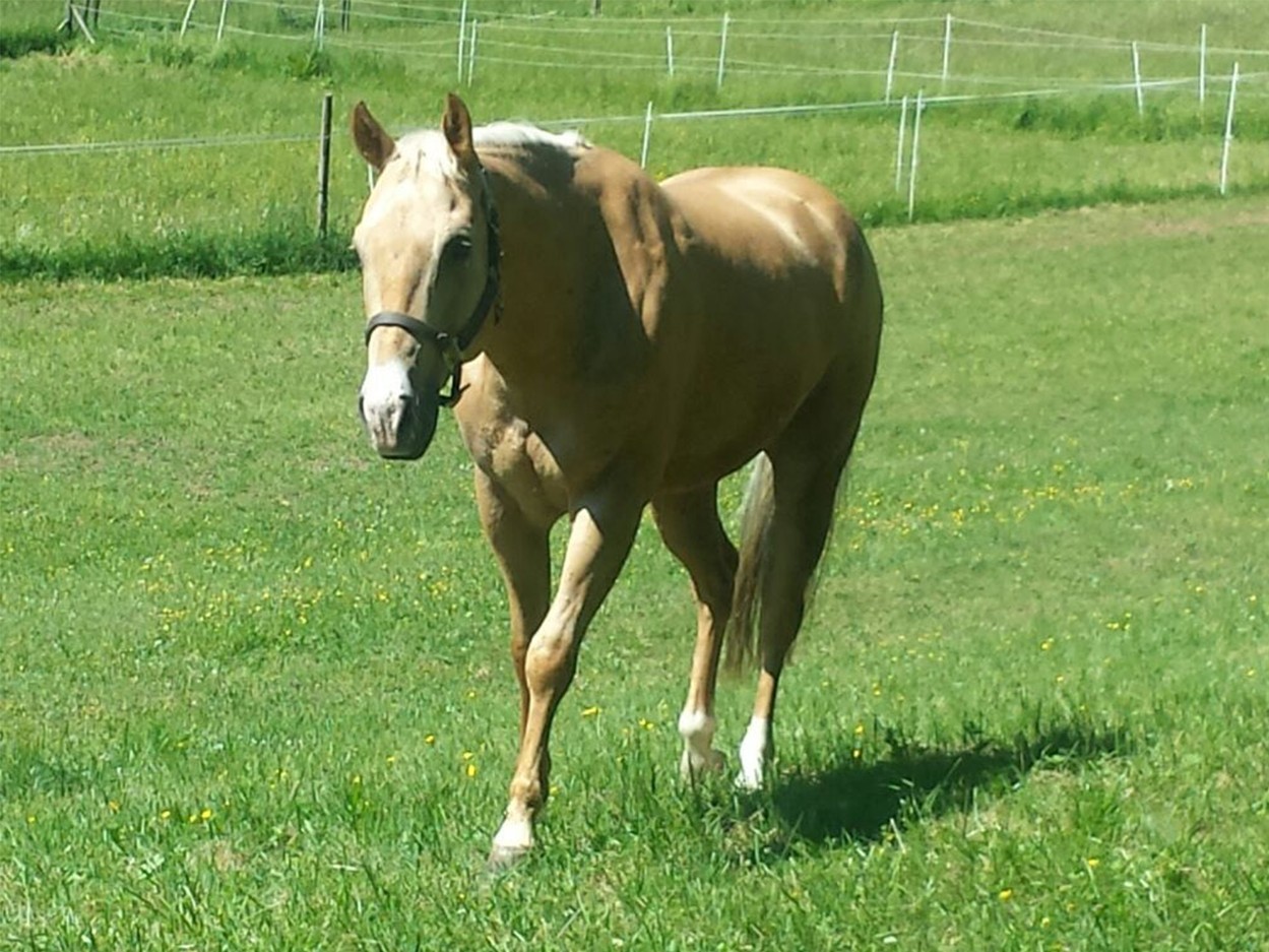 Ansicht 3 von Dr. med. vet. Albert Röhm, Tierarztpraxis Röhm
