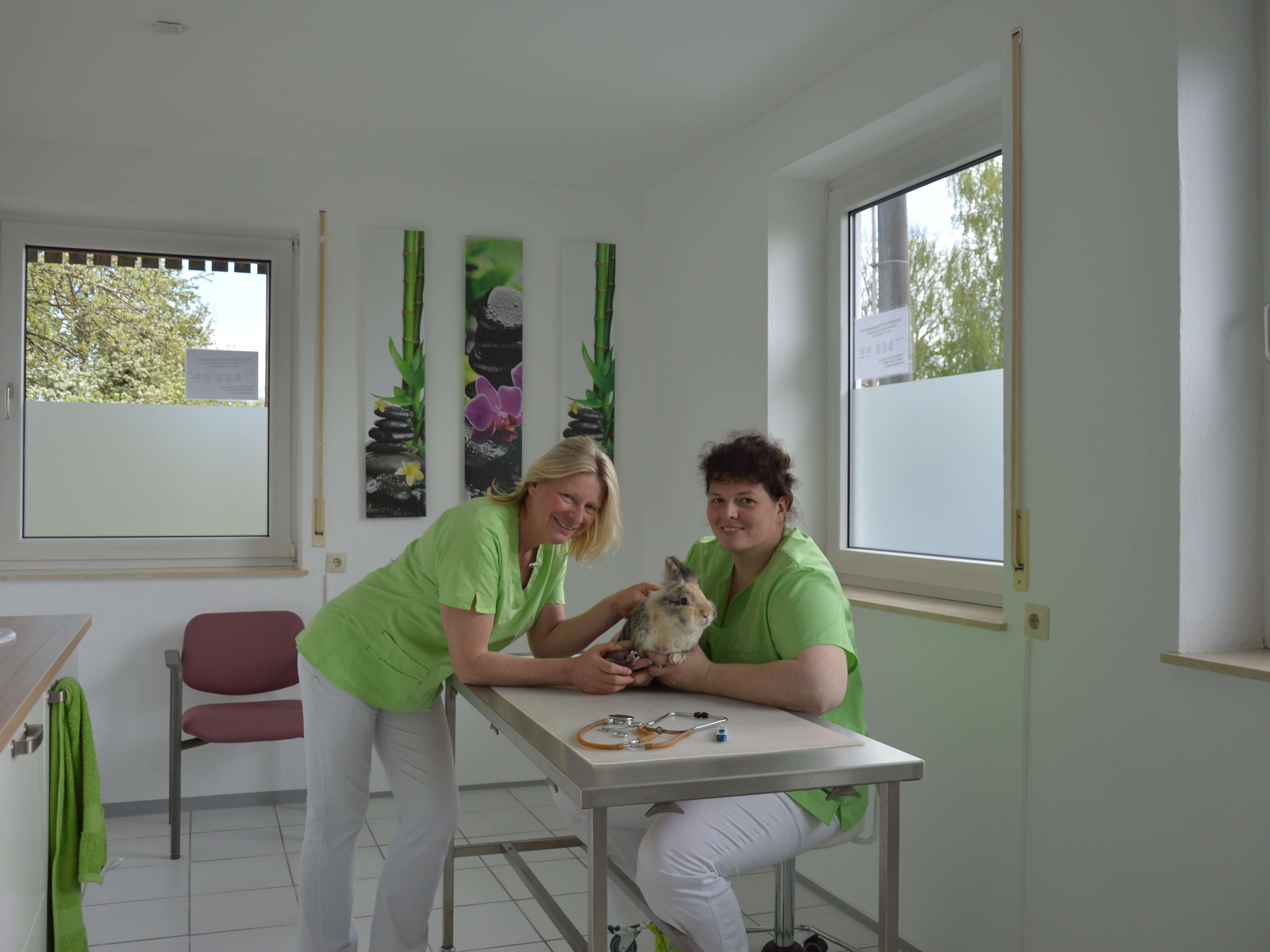 Ansicht 1 von Ganzheitliches Therapiezentrzum, Tierärztliche Gemeinschaftspraxis Baur/Dr.