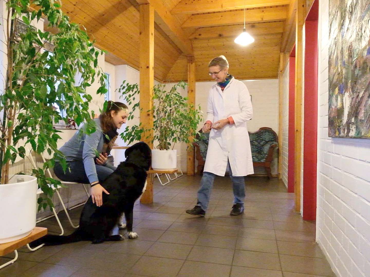 Ansicht 3 von Dr. Christine Menges Tierärztin