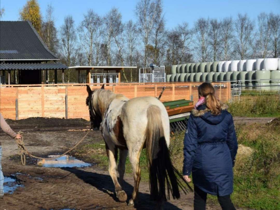 Ansicht 1 von Tierphysiotherapie & Chiropraktik Tanja Kleist