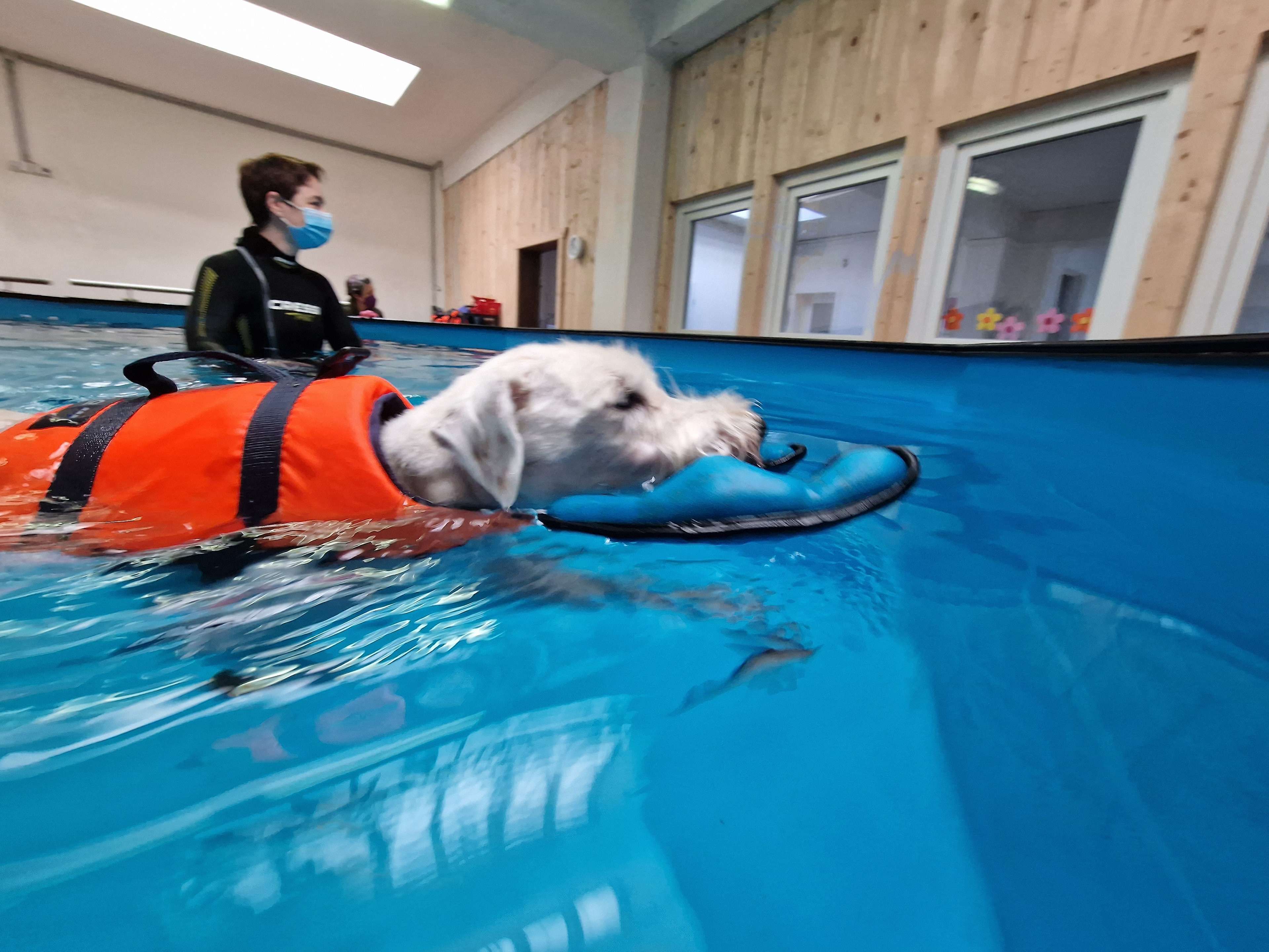 Ansicht 1 von Gangwerk Praxis für Hundephysiotherapie