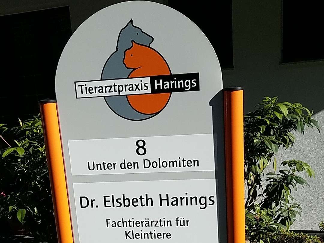 View 3 of E. Harings