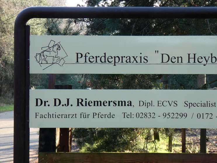 Ansicht 1 von Pferdepraxis Den Heyberg