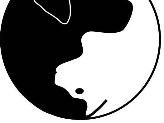 Ansicht 2 von Naturheilpraxis für Tiere - Dr. rer. nat. Christian Guse - Tierheilpraktiker