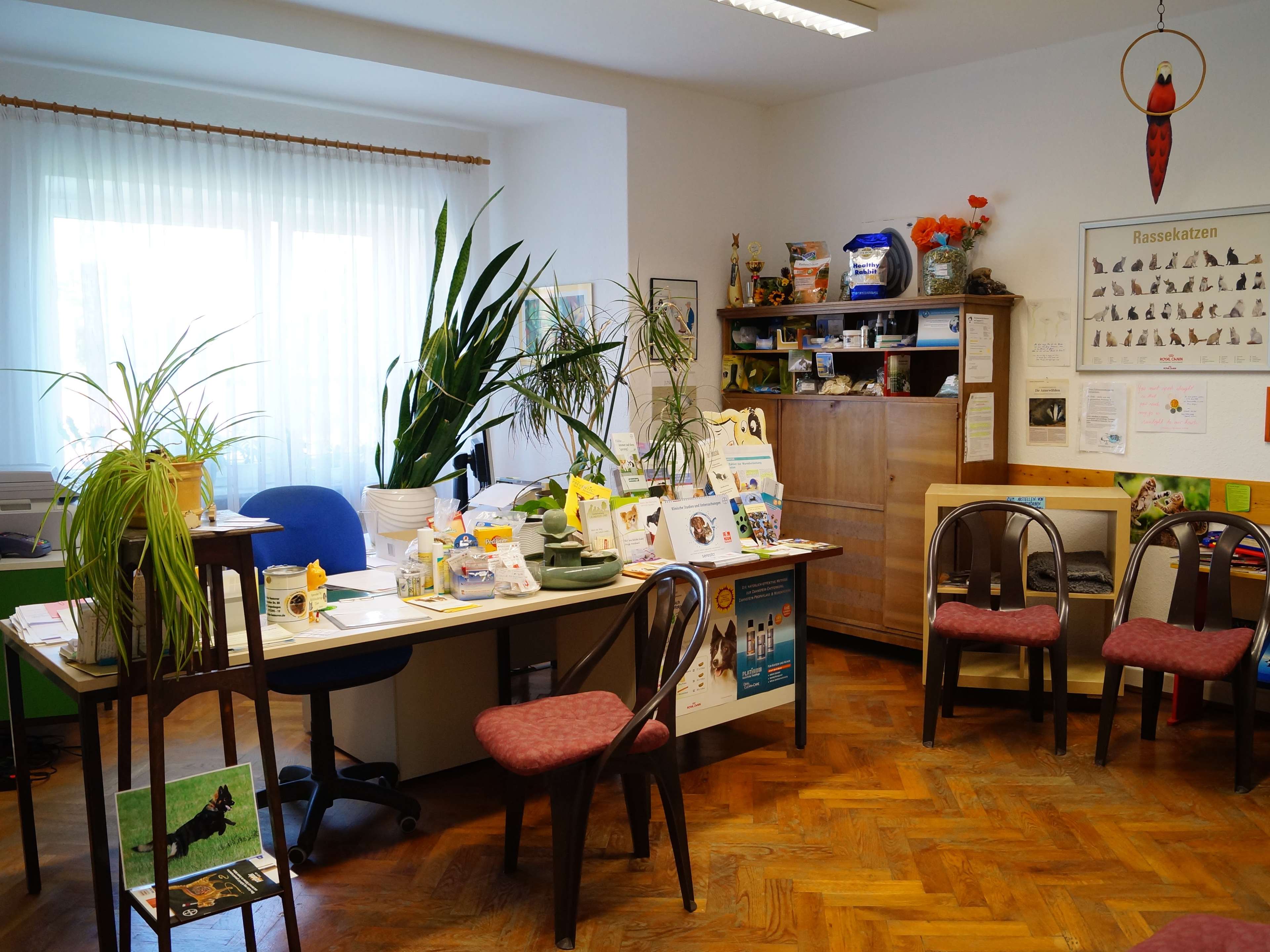 View 3 of Dr. med. vet. Birgit Lier