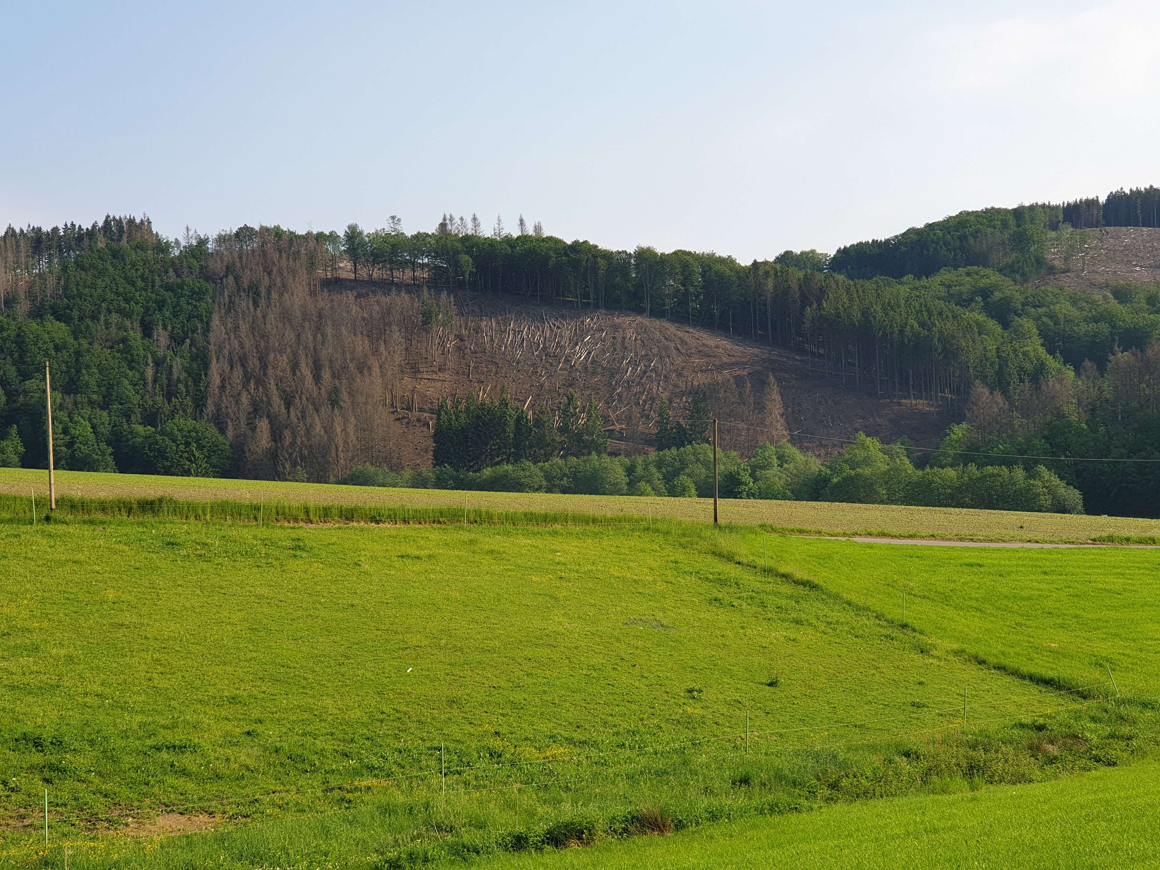 Ansicht 2 von Dr.med.vet. Dorle Rattay