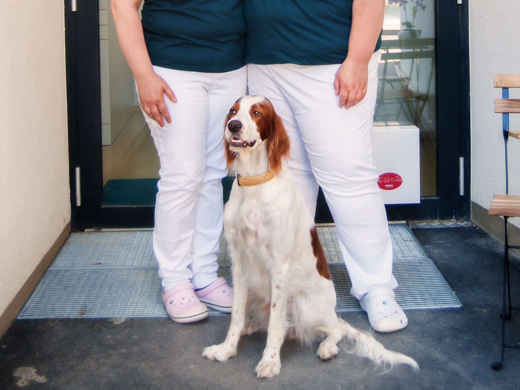Ansicht 3 von Tierarztpraxis Stammersdorf Mag. Oberbacher und Mag. Malle OG