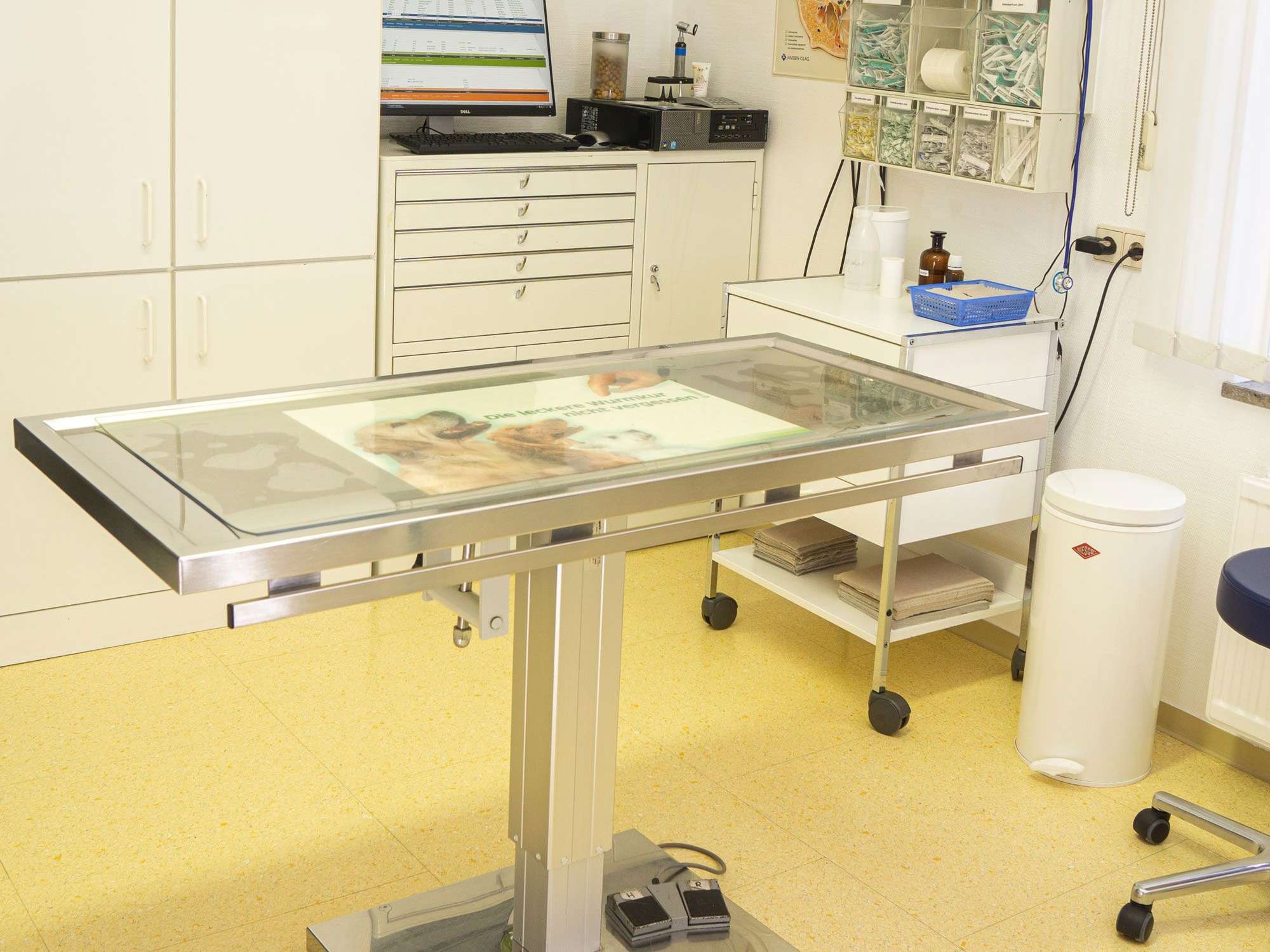 Ansicht 2 von Dr.med.vet. Jana Sieslack Tierärztin