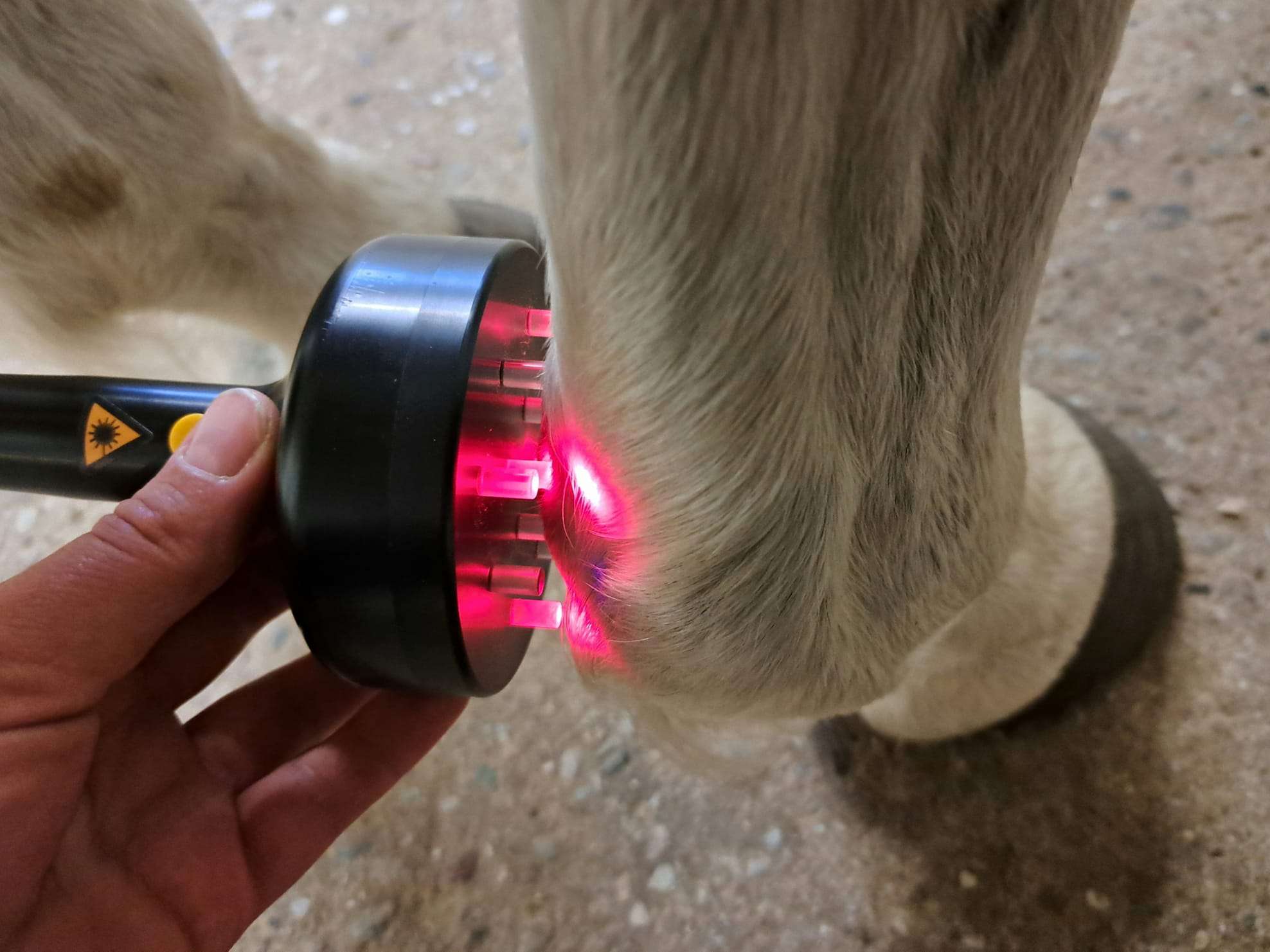 Ansicht 3 von Tierarztpraxis Kautzsch