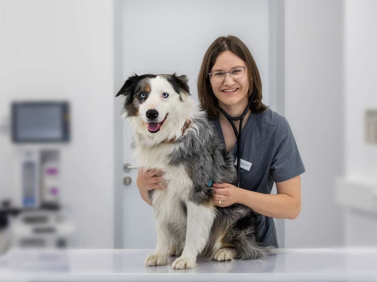 Ansicht 3 von Tierarzt Bad Birnbach, Tiergesundheitszentrum Bad Birnbach