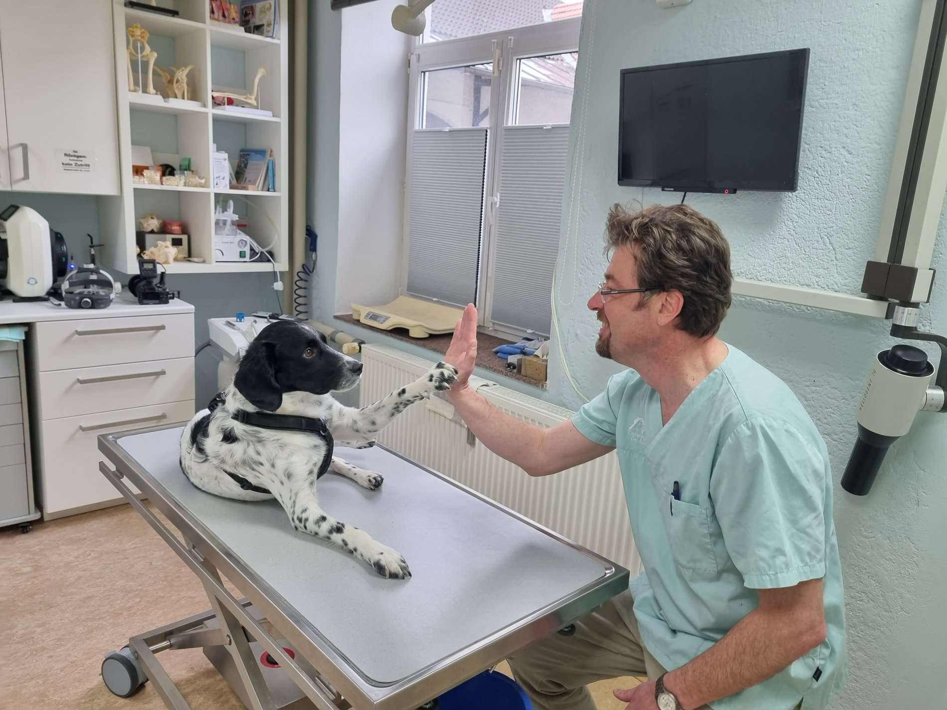 View 2 of Dr.med.vet. Andre Synilo Tierärztliche Praxis