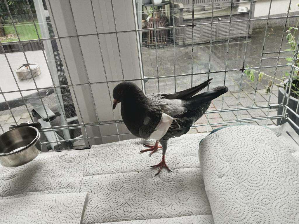Ansicht 2 von Tierklinik Krauß